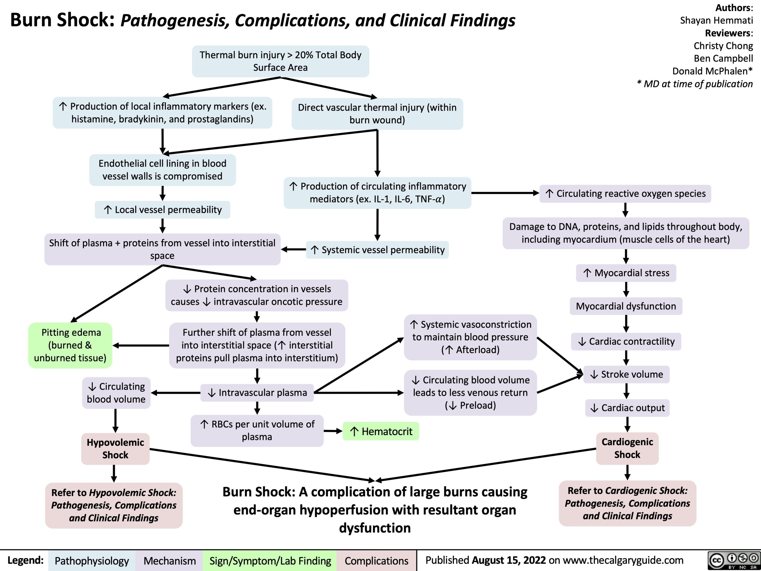 Burn Shock Pathogenesis Complications And Clinical Findings
