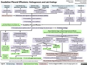 exudative-pleural-effusions-pathogenesis-and-lab-findings