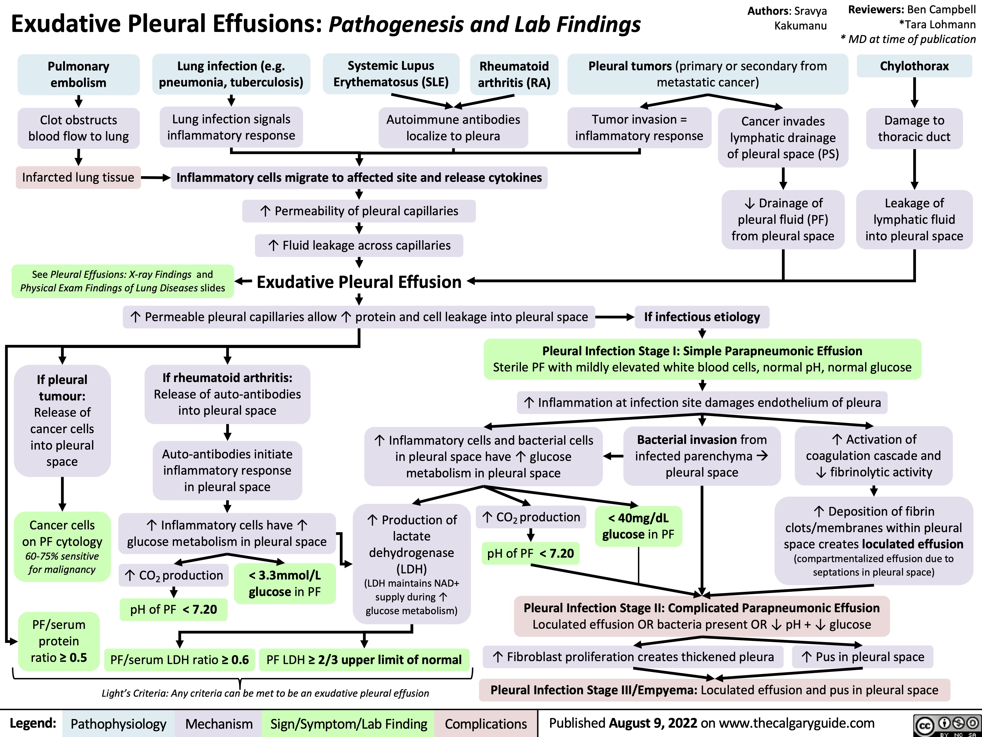 Exudative Pleural Effusions: Pathogenesis and Lab Findings
Authors: Sravya Kakumanu
Reviewers: Ben Campbell *Tara Lohmann * MD at time of publication
Chylothorax
Damage to thoracic duct
Leakage of lymphatic fluid into pleural space
      Pulmonary embolism
Clot obstructs blood flow to lung
Infarcted lung tissue
Lung infection (e.g. pneumonia, tuberculosis)
Lung infection signals inflammatory response
Systemic Lupus Rheumatoid Erythematosus (SLE) arthritis (RA)
Autoimmune antibodies localize to pleura
Pleural tumors (primary or secondary from metastatic cancer)
         Inflammatory cells migrate to affected site and release cytokines
↑ Permeability of pleural capillaries ↑ Fluid leakage across capillaries
Exudative Pleural Effusion
Cancer invades lymphatic drainage of pleural space (PS)
↓ Drainage of pleural fluid (PF) from pleural space
If infectious etiology
Tumor invasion = inflammatory response
            See Pleural Effusions: X-ray Findings and Physical Exam Findings of Lung Diseases slides
  ↑ Permeable pleural capillaries allow ↑ protein and cell leakage into pleural space
   If pleural tumour: Release of cancer cells into pleural space
Cancer cells on PF cytology 60-75% sensitive for malignancy
If rheumatoid arthritis:
Release of auto-antibodies into pleural space
Auto-antibodies initiate inflammatory response in pleural space
↑ Inflammatory cells have ↑ glucose metabolism in pleural space
Sterile PF with mildly elevated white blood cells, normal pH, normal glucose ↑ Inflammation at infection site damages endothelium of pleura
Pleural Infection Stage I: Simple Parapneumonic Effusion
        ↑ Inflammatory cells and bacterial cells in pleural space have ↑ glucose metabolism in pleural space
Bacterial invasion from infected parenchymaà pleural space
< 40mg/dL glucose in PF
↑ Activation of coagulation cascade and ↓ fibrinolytic activity
↑ Deposition of fibrin
clots/membranes within pleural
space creates loculated effusion
(compartmentalized effusion due to septations in pleural space)
       ↑ Production of
lactate
dehydrogenase
(LDH)
(LDH maintains NAD+ supply during ↑ glucose metabolism)
↑ CO2 production pH of PF < 7.20
      ↑ CO2 production pH of PF < 7.20
< 3.3mmol/L glucose in PF
Pleural Infection Stage II: Complicated Parapneumonic Effusion
Loculated effusion OR bacteria present OR ↓ pH + ↓ glucose
↑ Fibroblast proliferation creates thickened pleura ↑ Pus in pleural space Pleural Infection Stage III/Empyema: Loculated effusion and pus in pleural space
    PF/serum protein ratio ≥ 0.5
PF/serum LDH ratio ≥ 0.6
Light’s Criteria: Any criteria can be met to be an exudative pleural effusion
      PF LDH ≥ 2/3 upper limit of normal
    
Legend:
Pathophysiology
Mechanism
Sign/Symptom/Lab Finding
Complications
Published August 9, 2022 on www.thecalgaryguide.com
 