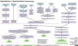 hyperkalemia-↓-renal-excretion-pathophysiology