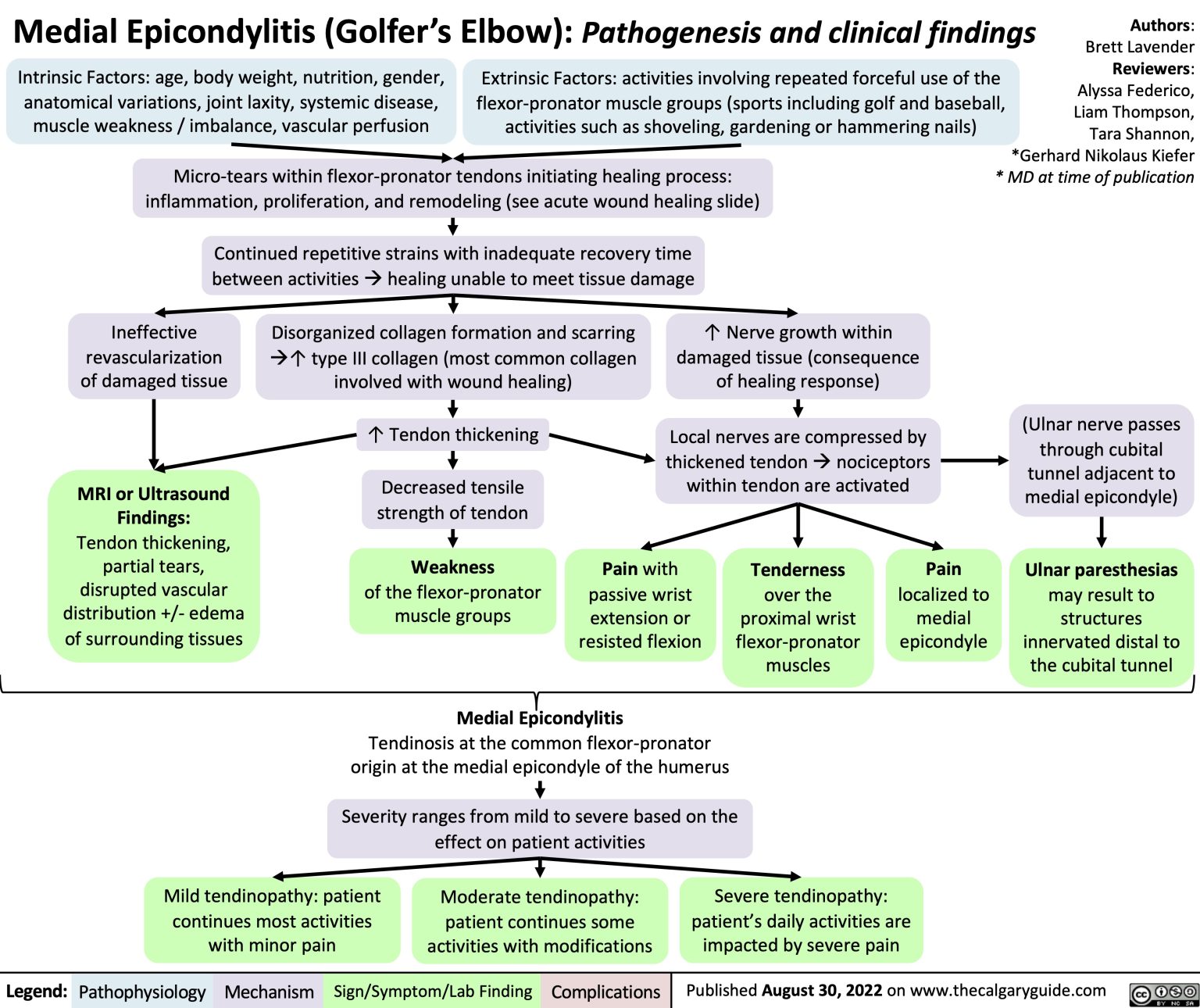 Medial Epicondylitis (Golfer’s Elbow): Pathogenesis And Clinical ...