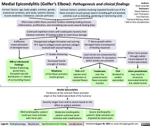 medial-epicondylitis-golfers-elbow-pathogenesis-and-clinical-findings