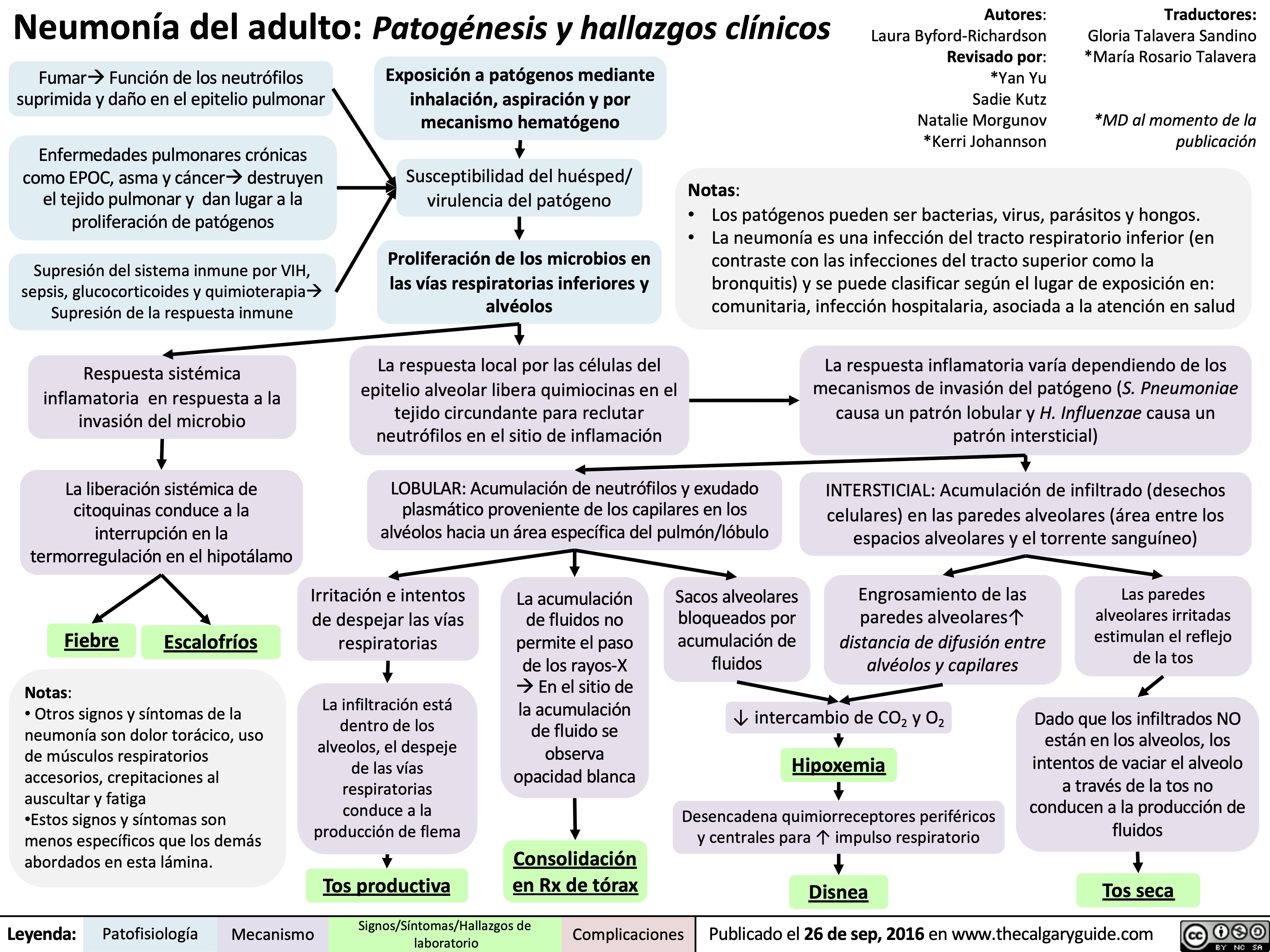 Neumonía del adulto: Patogénesis y hallazgos clínicos

neumonia-del-adulto-patogenesis-y-hallazgos-clinicos