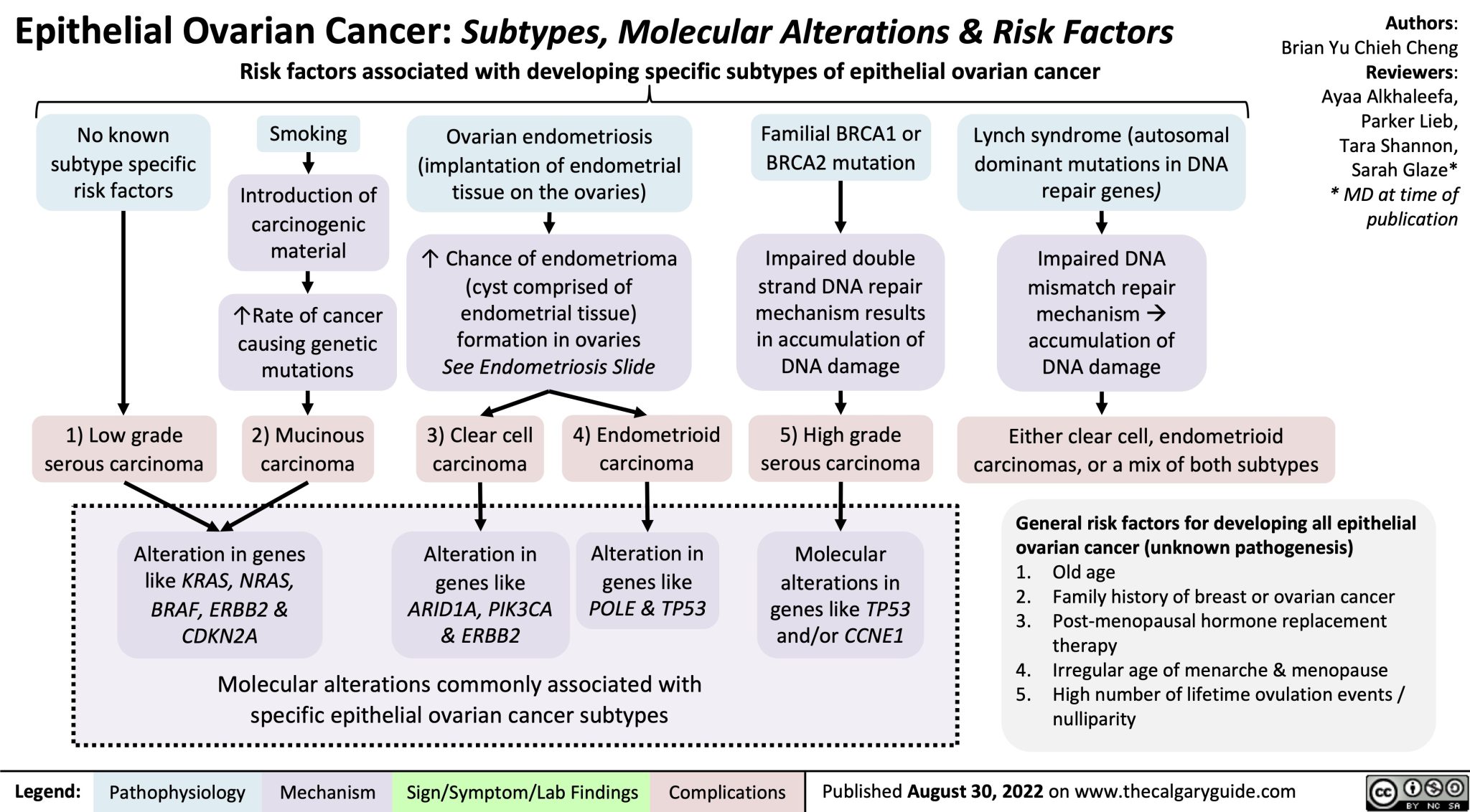 Epithelial Ovarian Cancer Subtypes Molecular Alterations Risk