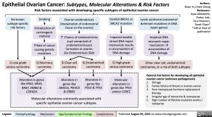 epithelial-ovarian-cancer-subtypes-molecular-alterations-risk-factors