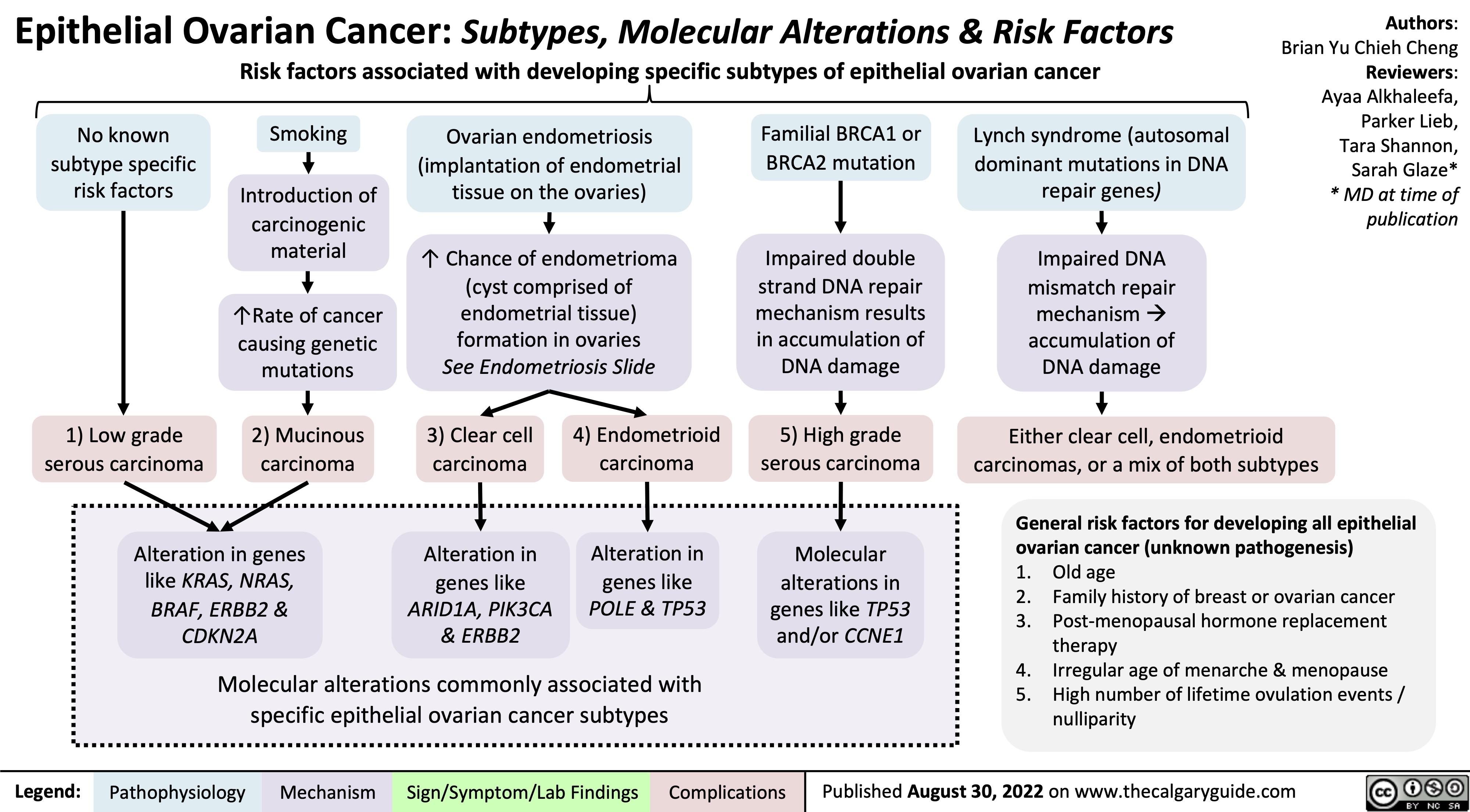 Epithelial Ovarian Cancer: Subtypes, Molecular Alterations & Risk Factors Risk factors associated with developing specific subtypes of epithelial ovarian cancer
Authors: Brian Yu Chieh Cheng Reviewers: Ayaa Alkhaleefa, Parker Lieb, Tara Shannon, Sarah Glaze* * MD at time of publication
      No known subtype specific risk factors
Smoking
Introduction of carcinogenic material
↑Rate of cancer causing genetic mutations
2) Mucinous carcinoma
Ovarian endometriosis (implantation of endometrial tissue on the ovaries)
↑ Chance of endometrioma (cyst comprised of endometrial tissue) formation in ovaries
See Endometriosis Slide
Familial BRCA1 or BRCA2 mutation
Impaired double strand DNA repair mechanism results in accumulation of DNA damage
5) High grade serous carcinoma
Lynch syndrome (autosomal dominant mutations in DNA repair genes)
Impaired DNA mismatch repair
mechanismà accumulation of DNA damage
              1) Low grade serous carcinoma
3) Clear cell carcinoma
4) Endometrioid carcinoma
Either clear cell, endometrioid carcinomas, or a mix of both subtypes
General risk factors for developing all epithelial ovarian cancer (unknown pathogenesis)
1. Old age
2. Family history of breast or ovarian cancer
3. Post-menopausal hormone replacement therapy
4. Irregular age of menarche & menopause 5. High number of lifetime ovulation events /
nulliparity
           Alteration in genes like KRAS, NRAS, BRAF, ERBB2 & CDKN2A
Alteration in genes like ARID1A, PIK3CA & ERBB2
Alteration in genes like POLE & TP53
Molecular alterations in genes like TP53 and/or CCNE1
Molecular alterations commonly associated with specific epithelial ovarian cancer subtypes
 Legend:
 Pathophysiology
Mechanism
Sign/Symptom/Lab Findings
  Complications
 Published August 30, 2022 on www.thecalgaryguide.com
   