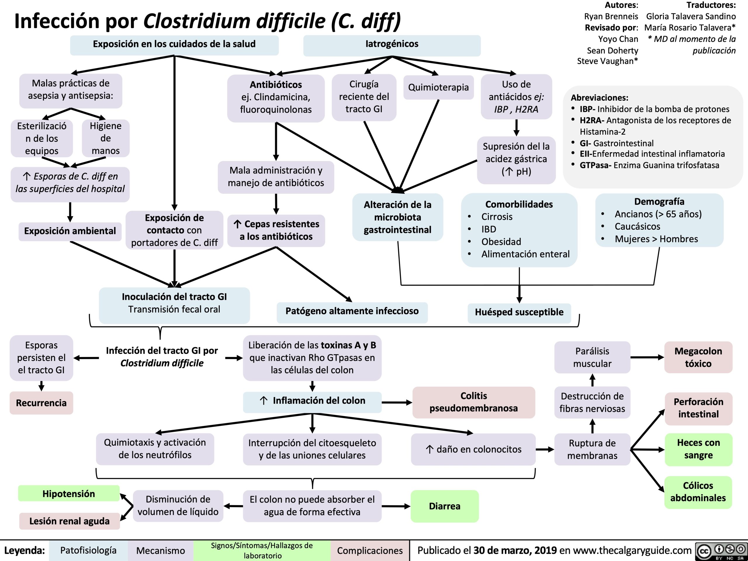 Infección por Clostridium difficile (C. diff) | Calgary Guide