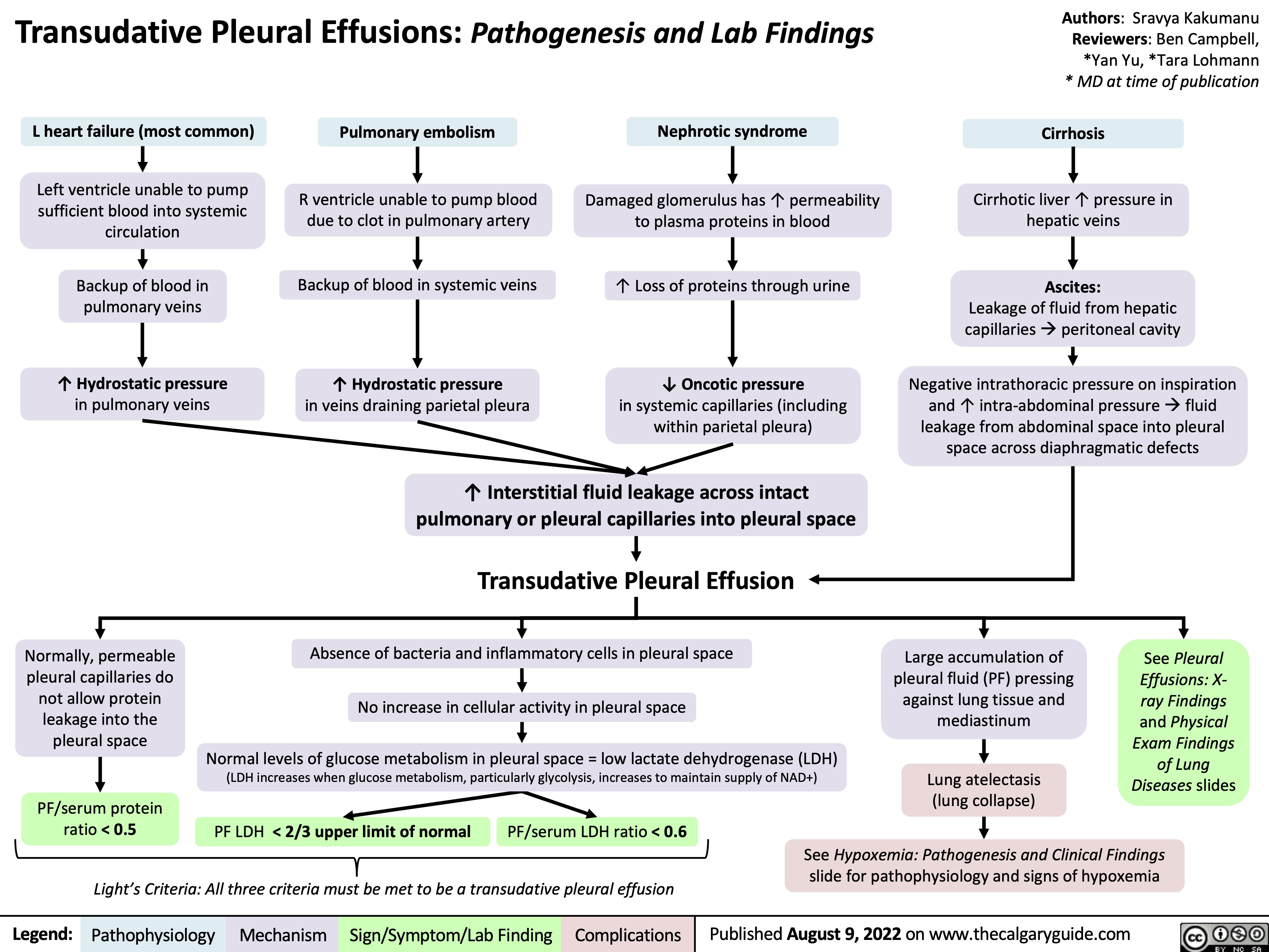 Transudative Pleural Effusions: Pathogenesis and Lab Findings
Authors: Sravya Kakumanu Reviewers: Ben Campbell, *Yan Yu, *Tara Lohmann * MD at time of publication
Cirrhosis
Cirrhotic liver ↑ pressure in hepatic veins
Ascites:
Leakage of fluid from hepatic capillariesàperitoneal cavity
Negative intrathoracic pressure on inspiration and ↑ intra-abdominal pressureàfluid leakage from abdominal space into pleural space across diaphragmatic defects
    L heart failure (most common)
Left ventricle unable to pump sufficient blood into systemic circulation
Backup of blood in pulmonary veins
↑ Hydrostatic pressure
in pulmonary veins
Pulmonary embolism
R ventricle unable to pump blood due to clot in pulmonary artery
Backup of blood in systemic veins
↑ Hydrostatic pressure
in veins draining parietal pleura
Nephrotic syndrome
Damaged glomerulus has ↑ permeability to plasma proteins in blood
↑ Loss of proteins through urine
↓ Oncotic pressure
in systemic capillaries (including within parietal pleura)
                         Normally, permeable pleural capillaries do not allow protein leakage into the pleural space
↑ Interstitial fluid leakage across intact pulmonary or pleural capillaries into pleural space
Transudative Pleural Effusion
Absence of bacteria and inflammatory cells in pleural space
No increase in cellular activity in pleural space
Normal levels of glucose metabolism in pleural space = low lactate dehydrogenase (LDH) (LDH increases when glucose metabolism, particularly glycolysis, increases to maintain supply of NAD+)
Large accumulation of pleural fluid (PF) pressing against lung tissue and mediastinum
Lung atelectasis (lung collapse)
See Pleural Effusions: X- ray Findings and Physical Exam Findings of Lung Diseases slides
     PF/serum protein ratio < 0.5
  PF LDH < 2/3 upper limit of normal
Light’s Criteria: All three criteria must be met to be a transudative pleural effusion
PF/serum LDH ratio < 0.6
  See Hypoxemia: Pathogenesis and Clinical Findings slide for pathophysiology and signs of hypoxemia
Legend:
Pathophysiology
Mechanism
Sign/Symptom/Lab Finding
Complications
Published August 9, 2022 on www.thecalgaryguide.com