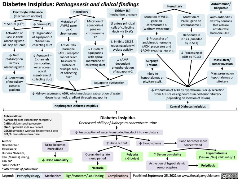 Diabetes Insipidus Pathogenesis And Clinical Findings Calgary Guide