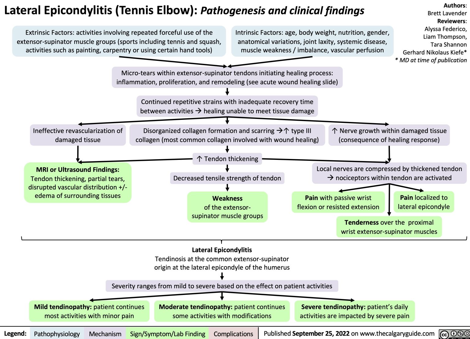 Lateral Epicondylitis (Tennis Elbow): Pathogenesis and clinical ...