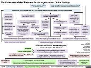 ventilator-associated-pneumonia-pathogenesis-and-clinical-findings