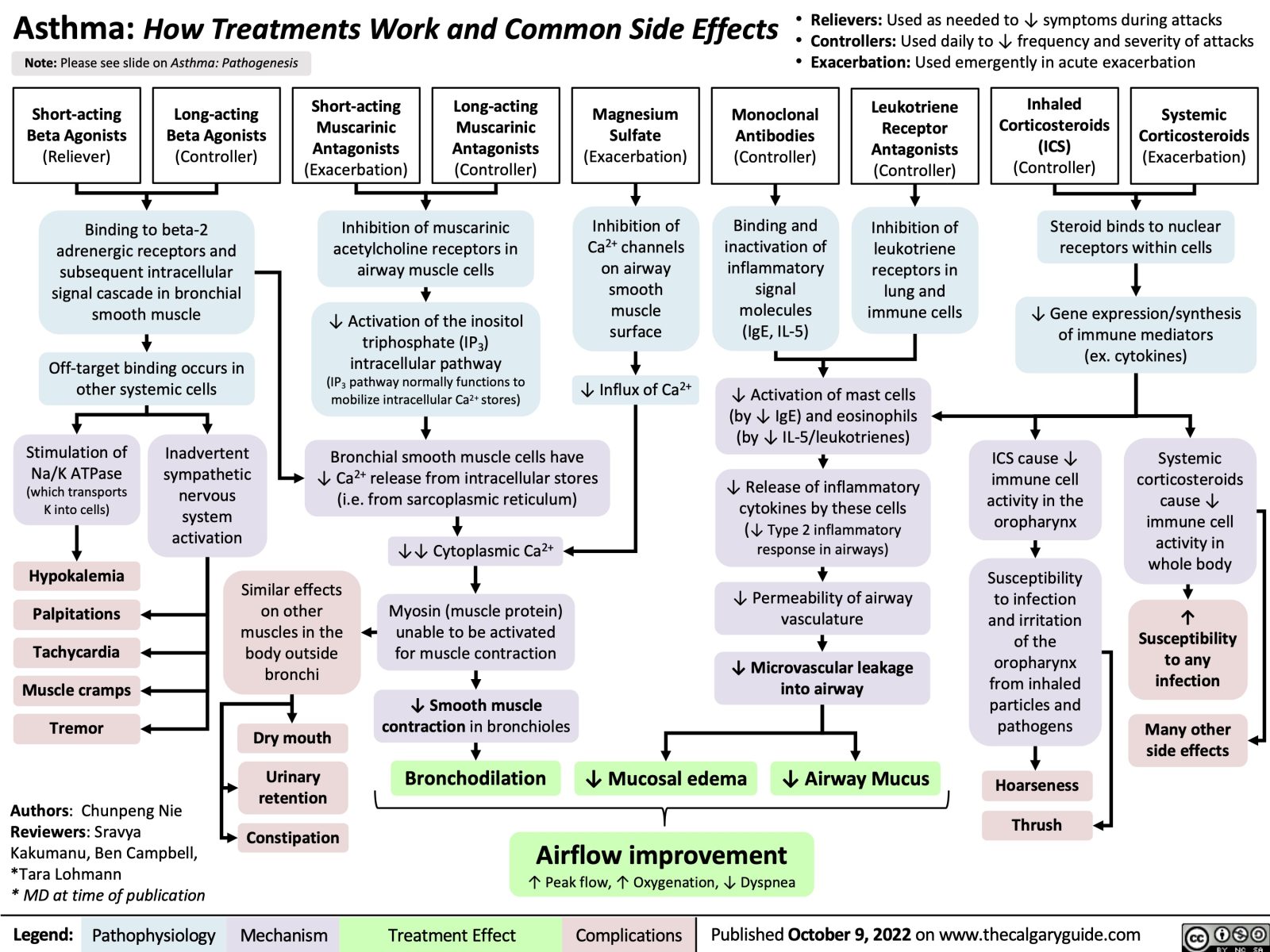 Asthma: How Treatments Work and Common Side Effects | Calgary Guide