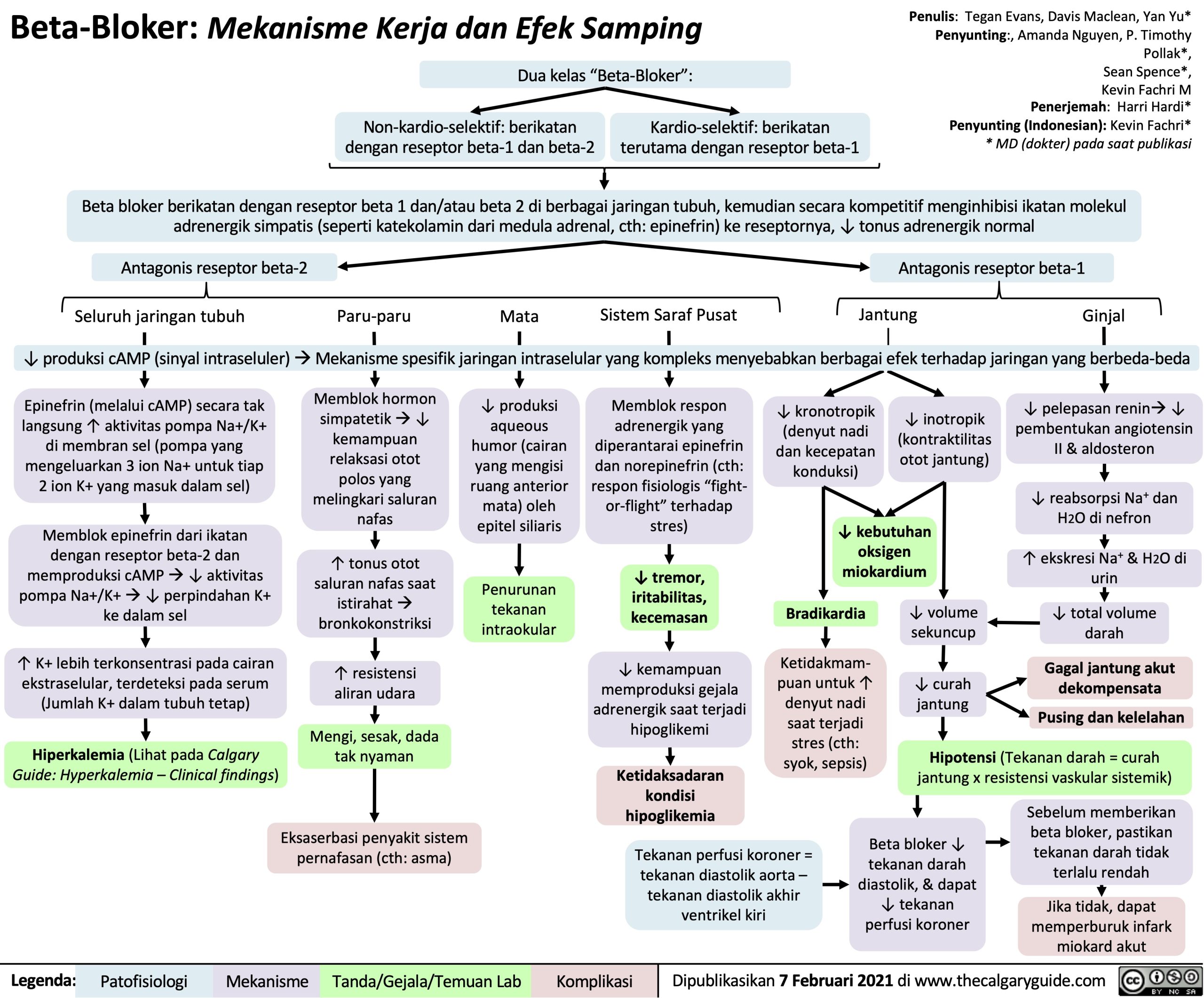 Beta Bloker Mekanisme Kerja Dan Efek Samping Calgary Guide