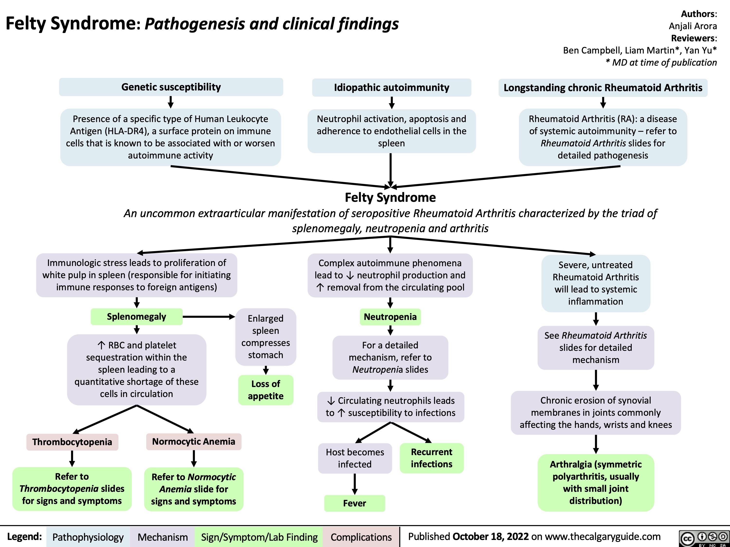 Felty Syndrome: Pathogenesis and clinical findings
Authors: Anjali Arora Reviewers: Ben Campbell, Liam Martin*, Yan Yu* * MD at time of publication
Longstanding chronic Rheumatoid Arthritis
Rheumatoid Arthritis (RA): a disease of systemic autoimmunity – refer to Rheumatoid Arthritis slides for detailed pathogenesis
   Genetic susceptibility
Presence of a specific type of Human Leukocyte Antigen (HLA-DR4), a surface protein on immune cells that is known to be associated with or worsen autoimmune activity
Idiopathic autoimmunity
Neutrophil activation, apoptosis and adherence to endothelial cells in the spleen
Felty Syndrome
     An uncommon extraarticular manifestation of seropositive Rheumatoid Arthritis characterized by the triad of splenomegaly, neutropenia and arthritis
     Immunologic stress leads to proliferation of white pulp in spleen (responsible for initiating immune responses to foreign antigens)
Splenomegaly
↑ RBC and platelet sequestration within the spleen leading to a quantitative shortage of these cells in circulation
Enlarged spleen compresses stomach
Loss of appetite
Complex autoimmune phenomena lead to ↓ neutrophil production and ↑ removal from the circulating pool
Neutropenia
For a detailed mechanism, refer to Neutropenia slides
↓ Circulating neutrophils leads to ↑ susceptibility to infections
Severe, untreated Rheumatoid Arthritis will lead to systemic inflammation
See Rheumatoid Arthritis slides for detailed mechanism
Chronic erosion of synovial membranes in joints commonly affecting the hands, wrists and knees
Arthralgia (symmetric polyarthritis, usually with small joint distribution)
               Thrombocytopenia
Refer to Thrombocytopenia slides for signs and symptoms
Normocytic Anemia Refer to Normocytic
Anemia slide for signs and symptoms
Host becomes infected
Fever
Recurrent infections
       Legend:
 Pathophysiology
 Mechanism
Sign/Symptom/Lab Finding
 Complications
Published October 18, 2022 on www.thecalgaryguide.com
   