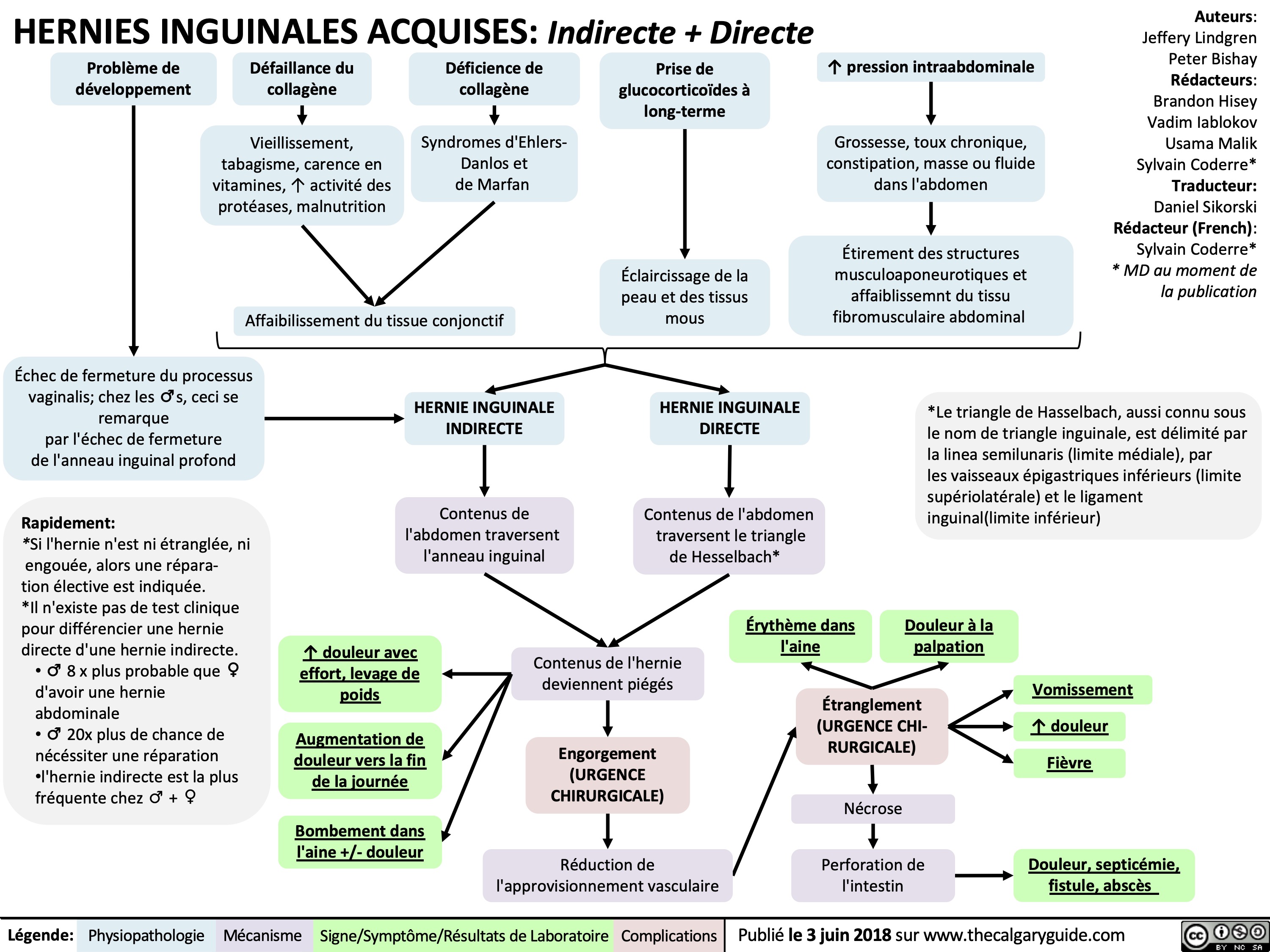 hernies-inguinales-acquises-indirect-directe