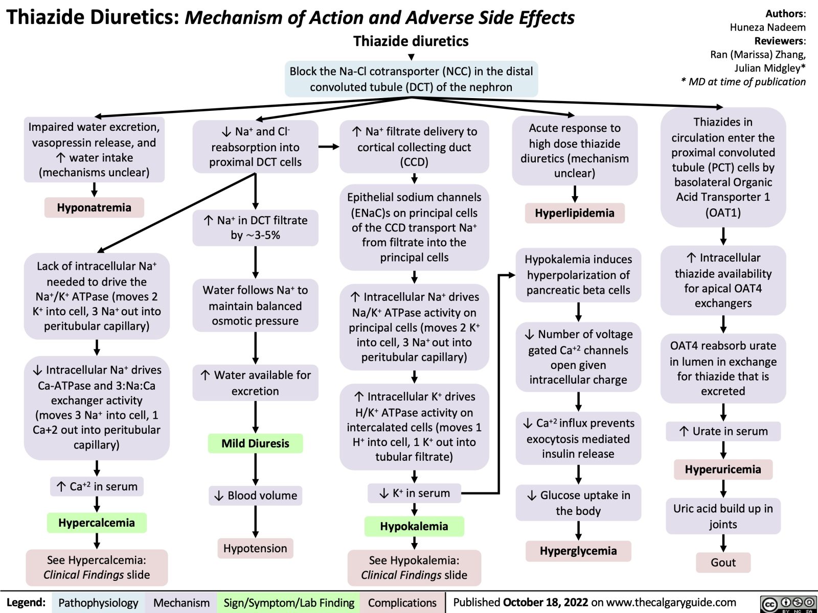 thiazide-diuretics-mechanism-of-action-and-adverse-side-effects