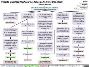 thiazide-diuretics-mechanism-of-action-and-adverse-side-effects