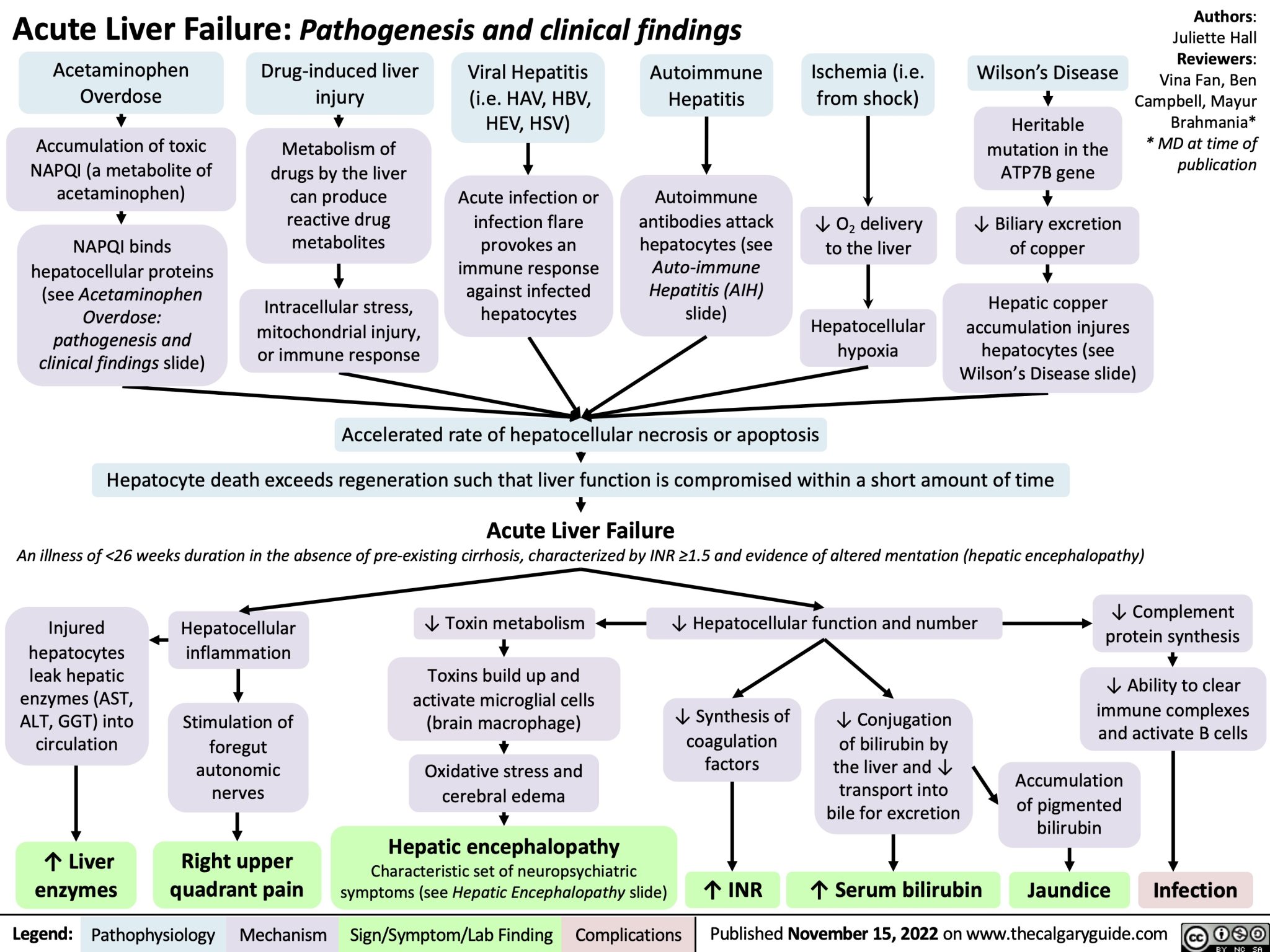 everything-about-renal-failure-its-causes-symptoms-diagnosis