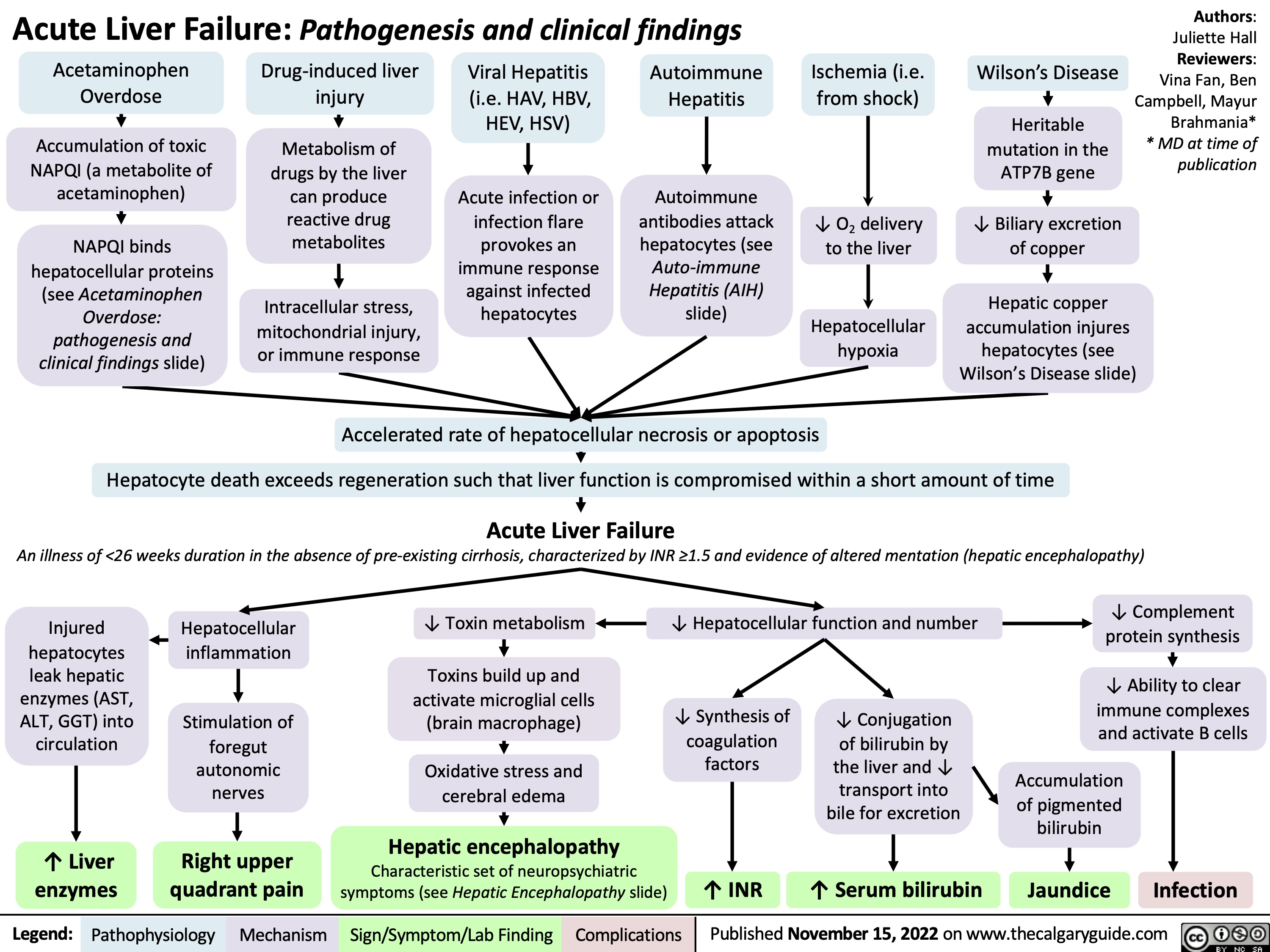 Acute Liver Failure: Pathogenesis and clinical findings
Authors: Juliette Hall Reviewers: Vina Fan, Ben Campbell, Mayur Brahmania* * MD at time of publication
      Acetaminophen Overdose
Accumulation of toxic NAPQI (a metabolite of acetaminophen)
NAPQI binds hepatocellular proteins
(see Acetaminophen Overdose: pathogenesis and clinical findings slide)
Drug-induced liver injury
Metabolism of drugs by the liver can produce reactive drug metabolites
Intracellular stress, mitochondrial injury, or immune response
Viral Hepatitis (i.e. HAV, HBV, HEV, HSV)
Acute infection or infection flare provokes an immune response against infected hepatocytes
Autoimmune Hepatitis
Autoimmune antibodies attack hepatocytes (see Auto-immune Hepatitis (AIH) slide)
Ischemia (i.e. from shock)
↓ O2 delivery to the liver
Hepatocellular hypoxia
Wilson’s Disease
Heritable mutation in the ATP7B gene
↓ Biliary excretion of copper
            Hepatic copper accumulation injures hepatocytes (see Wilson’s Disease slide)
       Accelerated rate of hepatocellular necrosis or apoptosis
 Hepatocyte death exceeds regeneration such that liver function is compromised within a short amount of time
Acute Liver Failure
An illness of <26 weeks duration in the absence of pre-existing cirrhosis, characterized by INR ≥1.5 and evidence of altered mentation (hepatic encephalopathy)
       Injured hepatocytes leak hepatic enzymes (AST, ALT, GGT) into circulation
↑ Liver enzymes
Hepatocellular inflammation
Stimulation of foregut
autonomic nerves
Right upper quadrant pain
↓ Toxin metabolism
Toxins build up and activate microglial cells (brain macrophage)
Oxidative stress and cerebral edema
Hepatic encephalopathy
Characteristic set of neuropsychiatric symptoms (see Hepatic Encephalopathy slide)
↓ Hepatocellular function and number
↓ Complement protein synthesis
↓ Ability to clear immune complexes and activate B cells
Accumulation of pigmented bilirubin
        ↓ Synthesis of coagulation factors
↑ INR
↓ Conjugation of bilirubin by the liver and ↓ transport into bile for excretion
            ↑ Serum bilirubin
Jaundice
Infection
 Legend:
 Pathophysiology
 Mechanism
Sign/Symptom/Lab Finding
 Complications
Published November 15, 2022 on www.thecalgaryguide.com
   