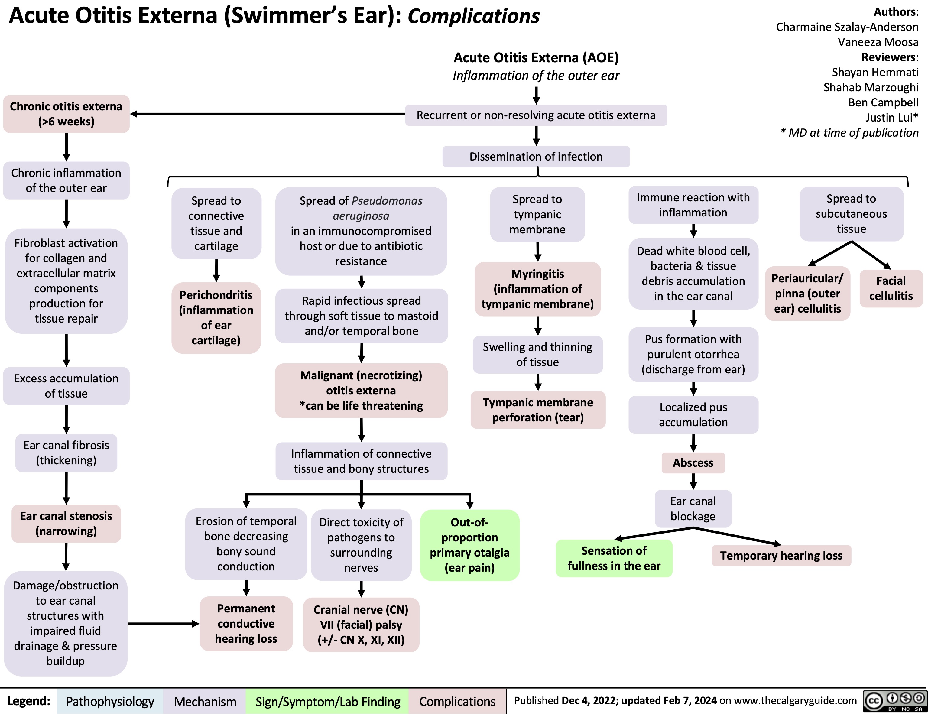 Acute Otitis Externa (Swimmer’s Ear): Complications
Acute Otitis Externa (AOE)
Authors: Charmaine Szalay-Anderson Vaneeza Moosa Reviewers: Shayan Hemmati Shahab Marzoughi Ben Campbell Justin Lui* * MD at time of publication
Spread to subcutaneous tissue
 Chronic otitis externa (>6 weeks)
Chronic inflammation of the outer ear
Fibroblast activation for collagen and extracellular matrix components production for tissue repair
Excess accumulation of tissue
Ear canal fibrosis (thickening)
Ear canal stenosis (narrowing)
Damage/obstruction to ear canal structures with impaired fluid drainage & pressure buildup
Inflammation of the outer ear
Recurrent or non-resolving acute otitis externa Dissemination of infection
          Spread to connective tissue and cartilage
Perichondritis (inflammation of ear cartilage)
Spread of Pseudomonas aeruginosa
in an immunocompromised host or due to antibiotic resistance
Rapid infectious spread through soft tissue to mastoid and/or temporal bone
Malignant (necrotizing) otitis externa *can be life threatening
Inflammation of connective tissue and bony structures
Spread to
tympanic membrane
Myringitis (inflammation of tympanic membrane)
Swelling and thinning of tissue
Tympanic membrane perforation (tear)
Immune reaction with inflammation
Dead white blood cell, bacteria & tissue debris accumulation in the ear canal
Pus formation with purulent otorrhea (discharge from ear)
Localized pus accumulation
Abscess
Ear canal blockage
Periauricular/ pinna (outer ear) cellulitis
Facial cellulitis
                       Erosion of temporal bone decreasing bony sound conduction
Permanent conductive hearing loss
Direct toxicity of pathogens to surrounding nerves
Cranial nerve (CN) VII (facial) palsy (+/- CN X, XI, XII)
Out-of- proportion primary otalgia (ear pain)
Sensation of fullness in the ear
Temporary hearing loss
        Legend:
 Pathophysiology
 Mechanism
 Sign/Symptom/Lab Finding
 Complications
 Published Dec 4, 2022; updated Feb 7, 2024 on www.thecalgaryguide.com
 