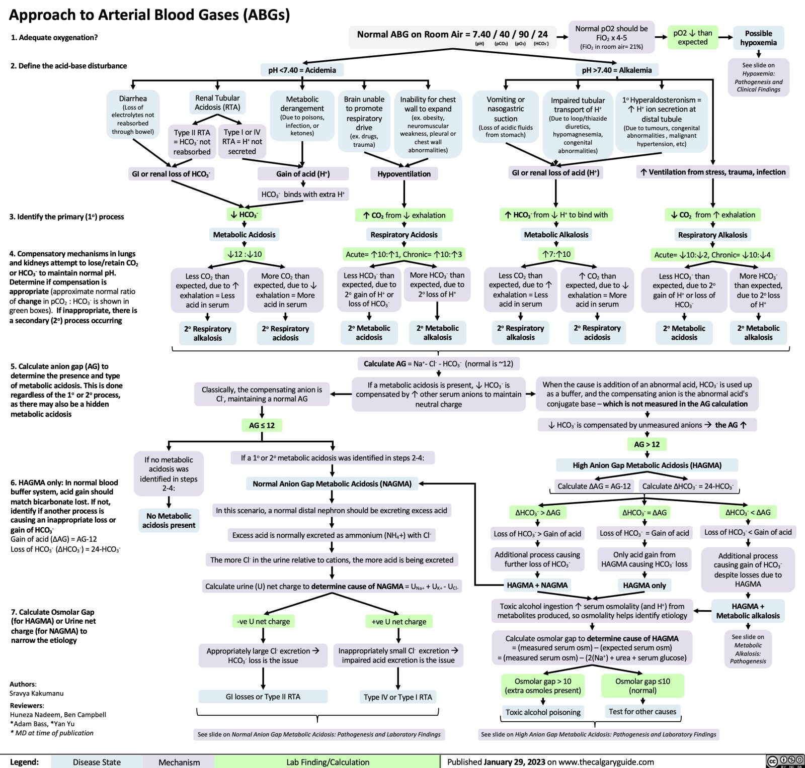 Approach to Arterial Blood Gases (ABGs) | Calgary Guide