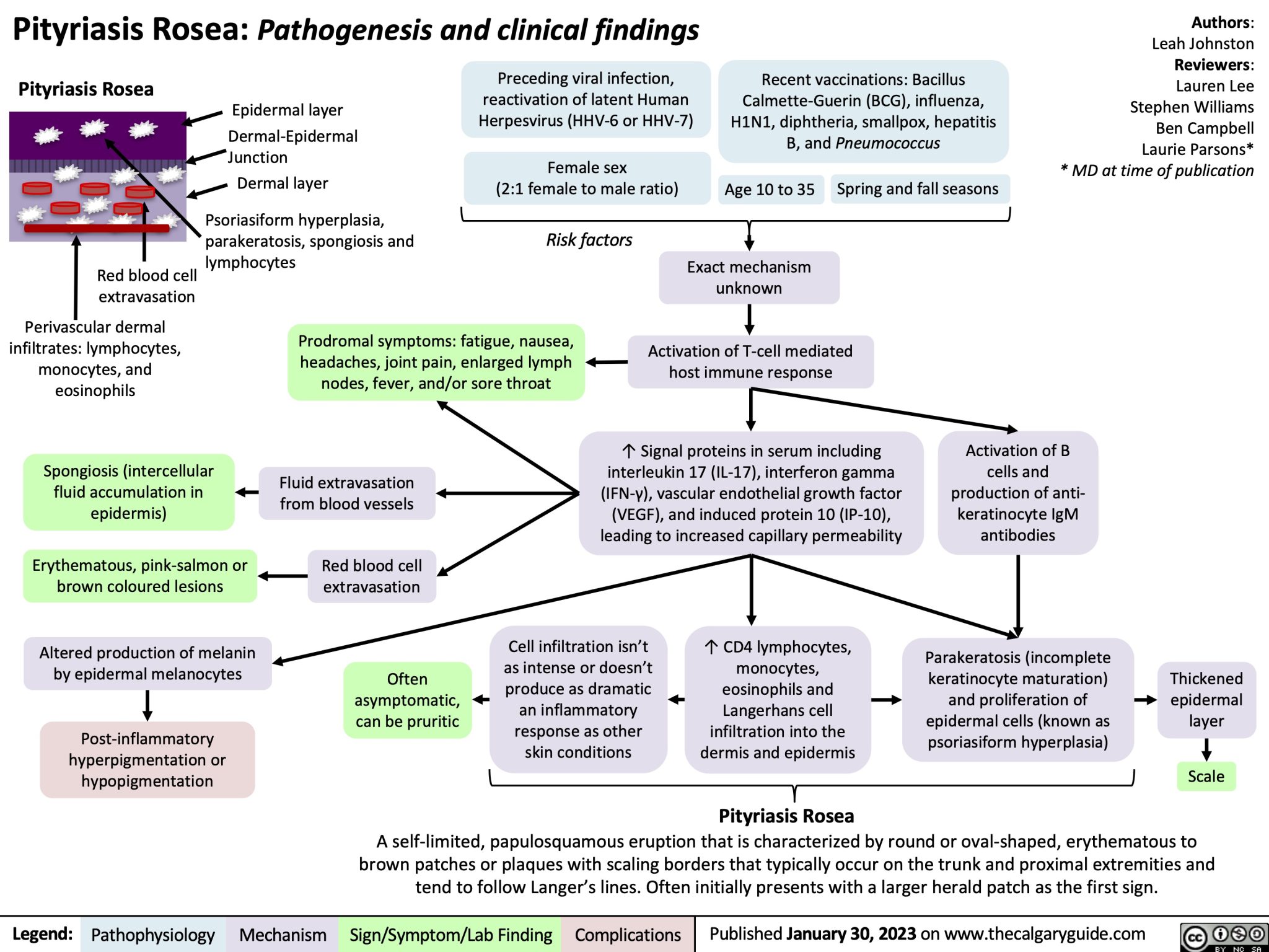 Pityriasis Rosea | Calgary Guide