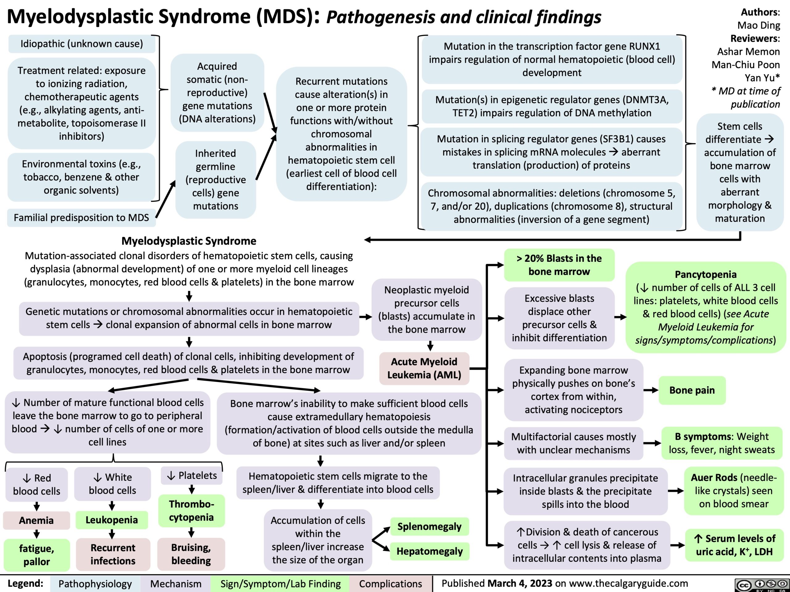 Myelodysplastic Syndrome Pathogenesis and clinical findings