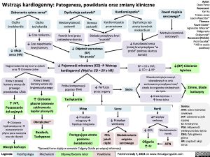 Wstrząs kardiogenny: Patogeneza, powikłania oraz zmiany kliniczne