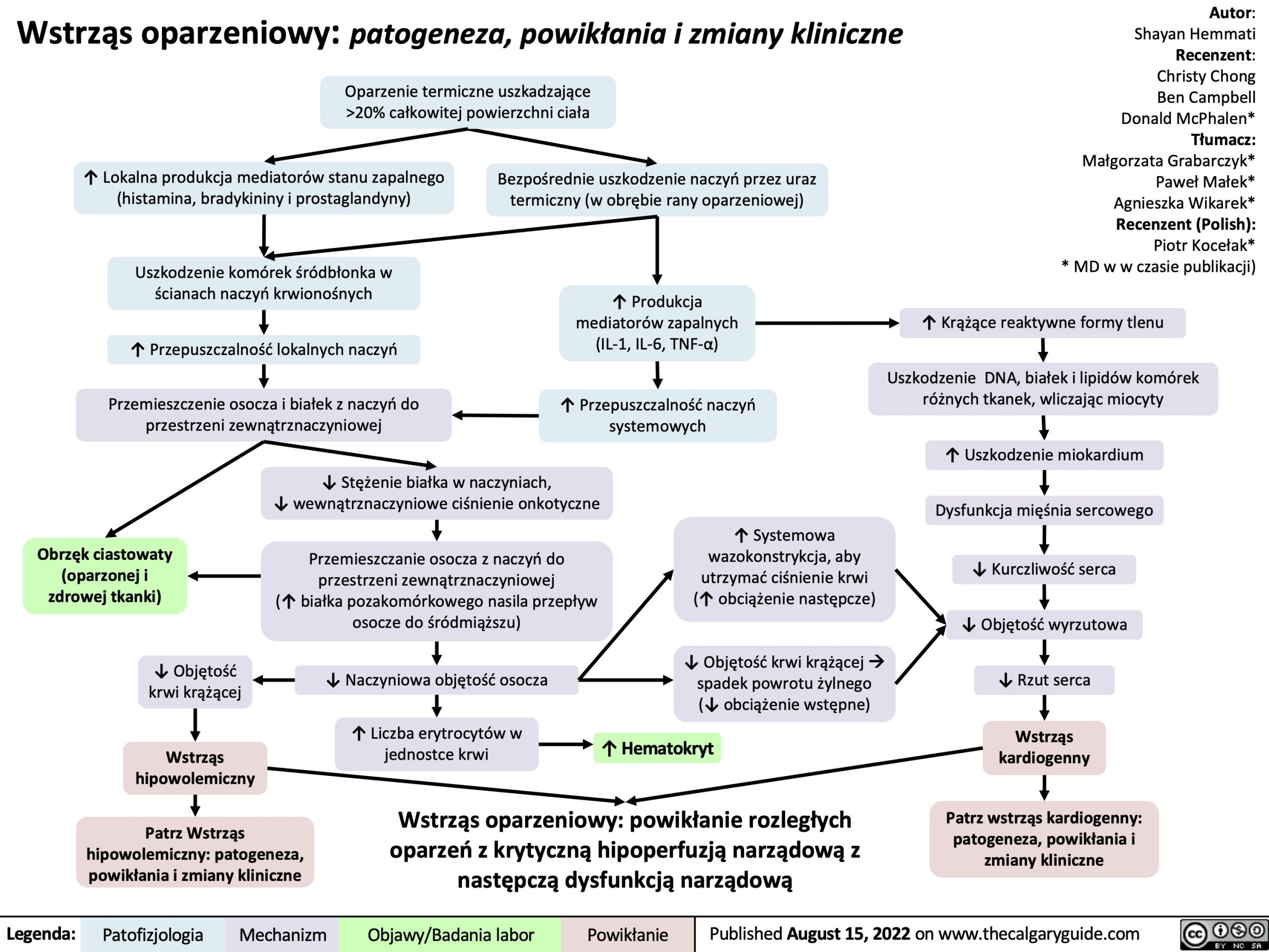 Wstrząs oparzeniowy: patogeneza, powikłania i zmiany kliniczne