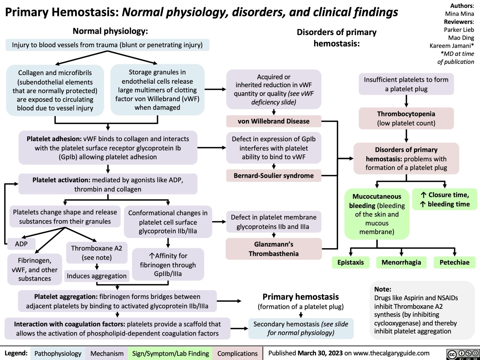 Primary Hemostasis Normal physiology, disorders, and clinical findings