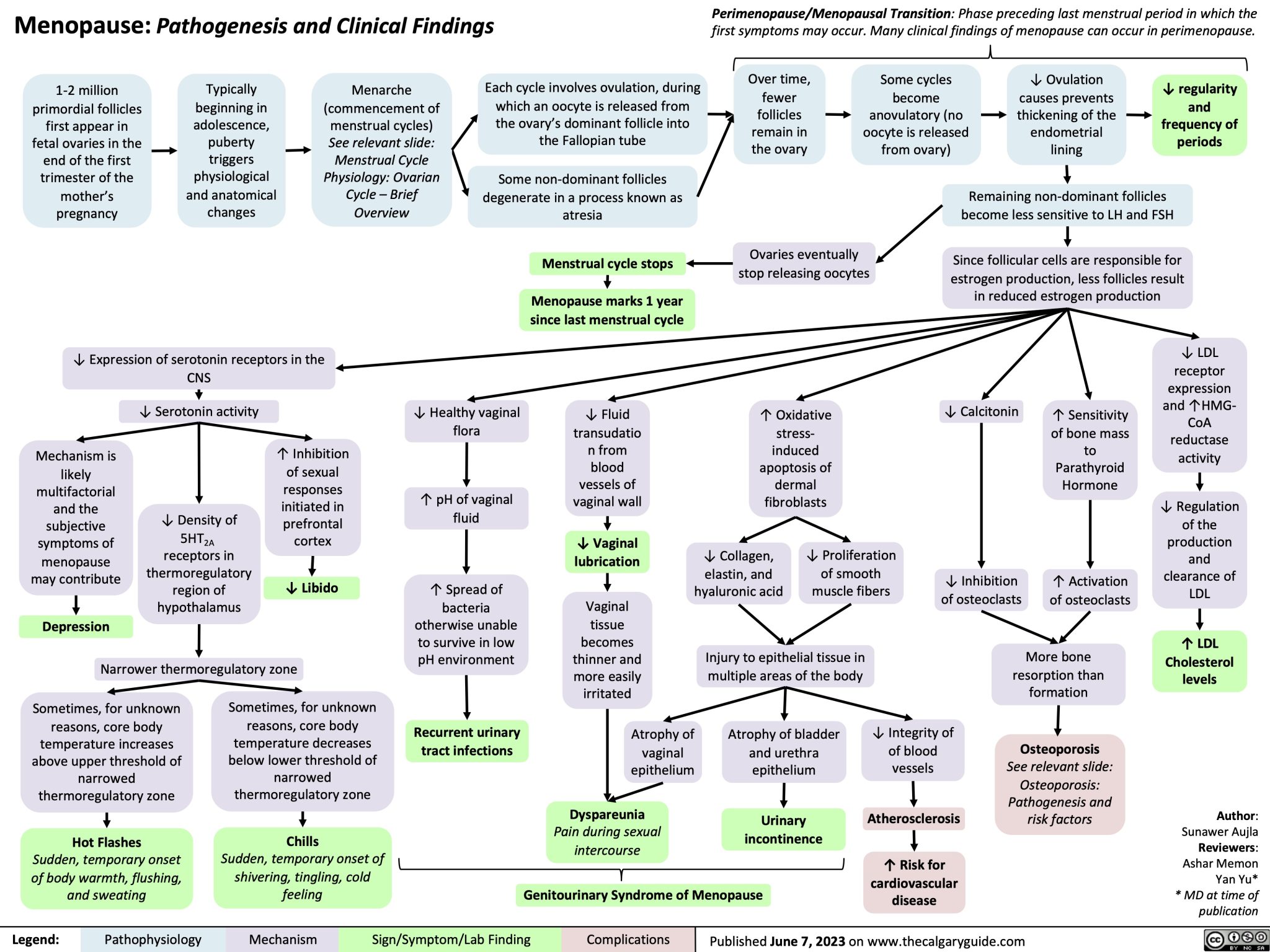 Menopause: Pathogenesis and Clinical Findings | Calgary Guide