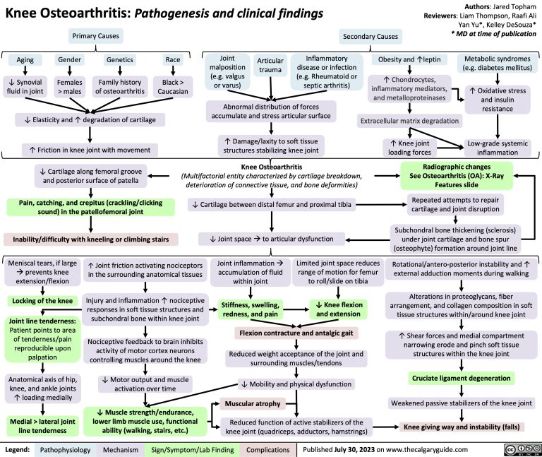 Knee Osteoarthritis | Calgary Guide