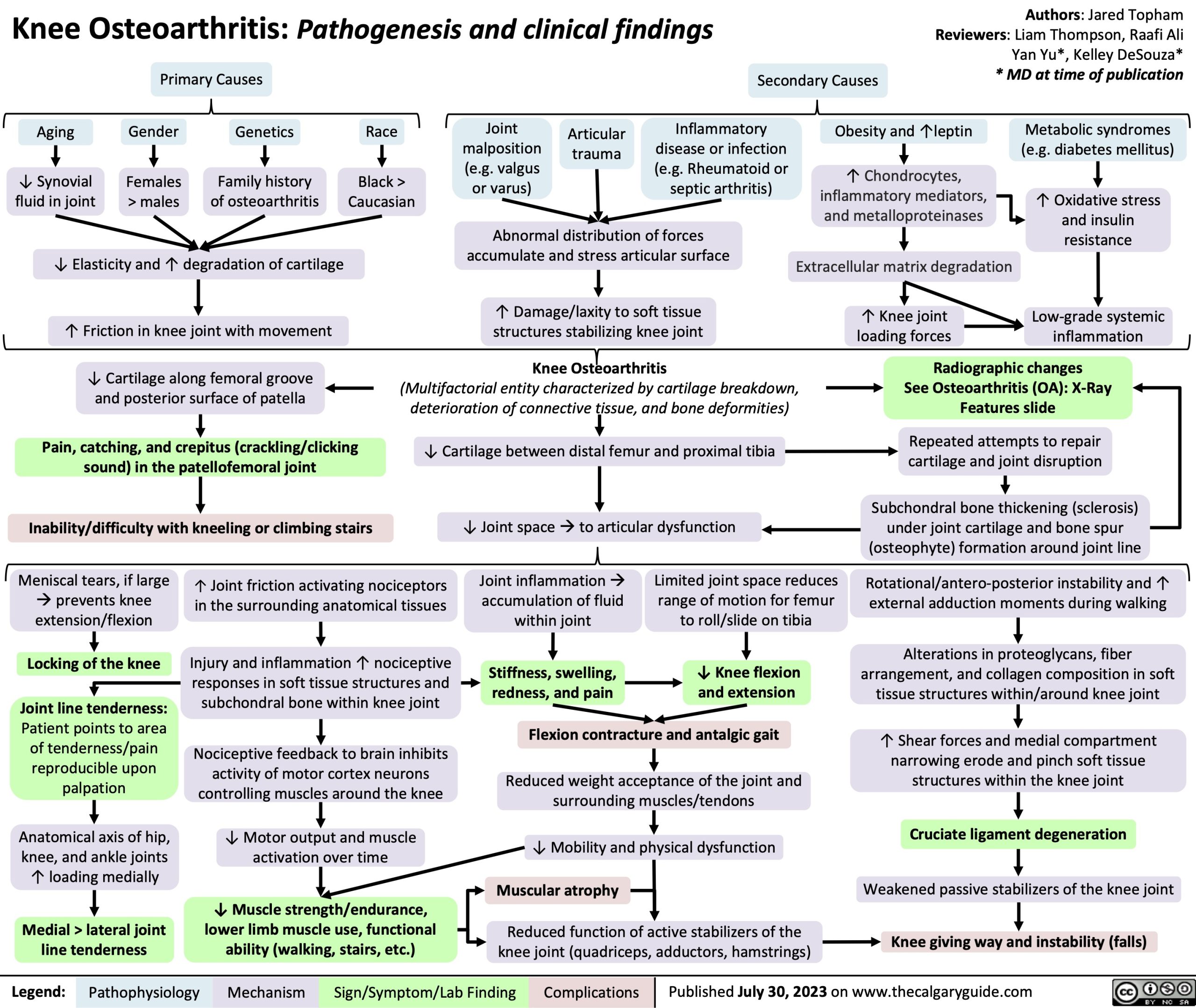 Knee Osteoarthritis Pathogenesis And Clinical Findings Calgary Guide
