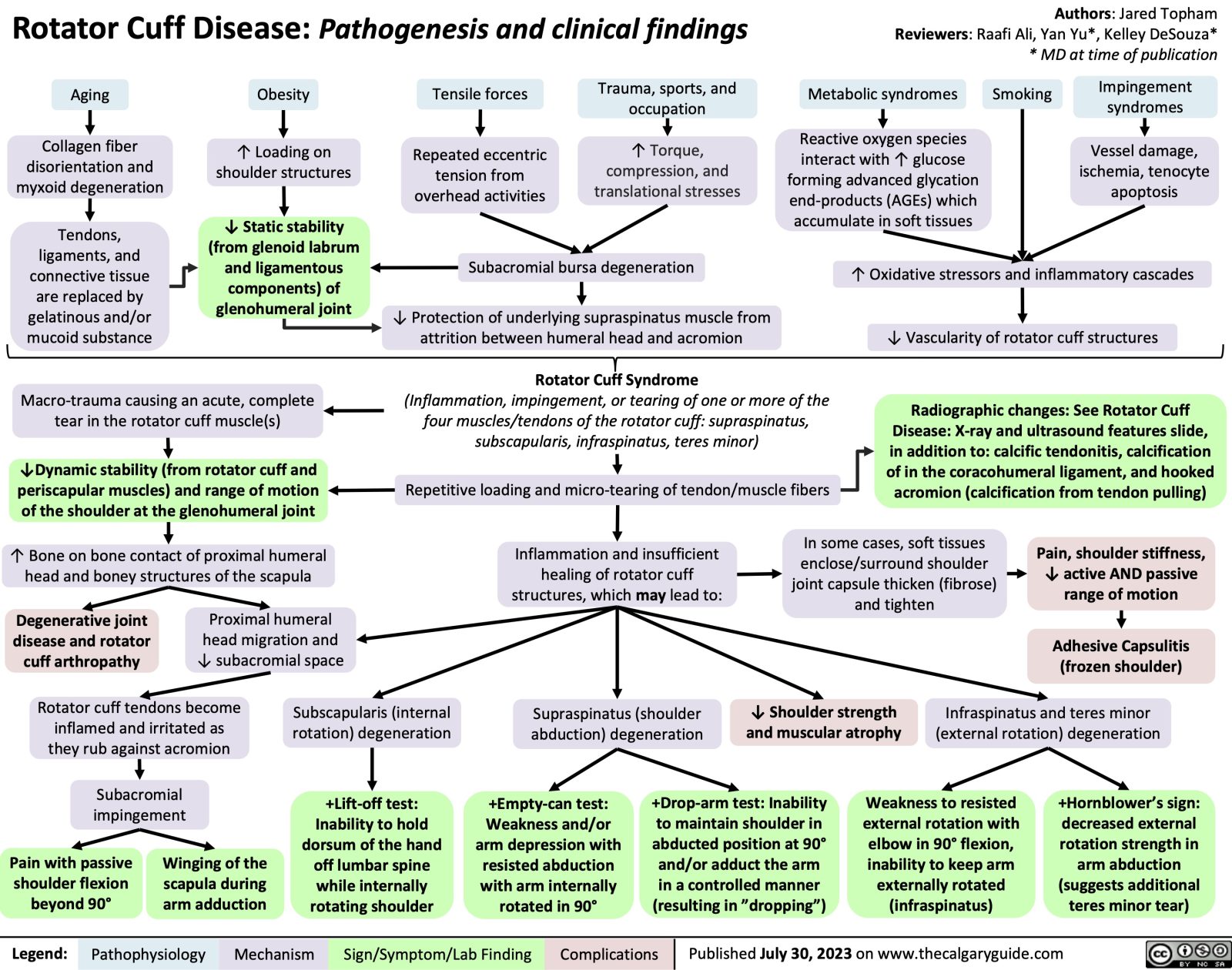 Rotator Cuff Disease: Pathogenesis and clinical findings | Calgary Guide