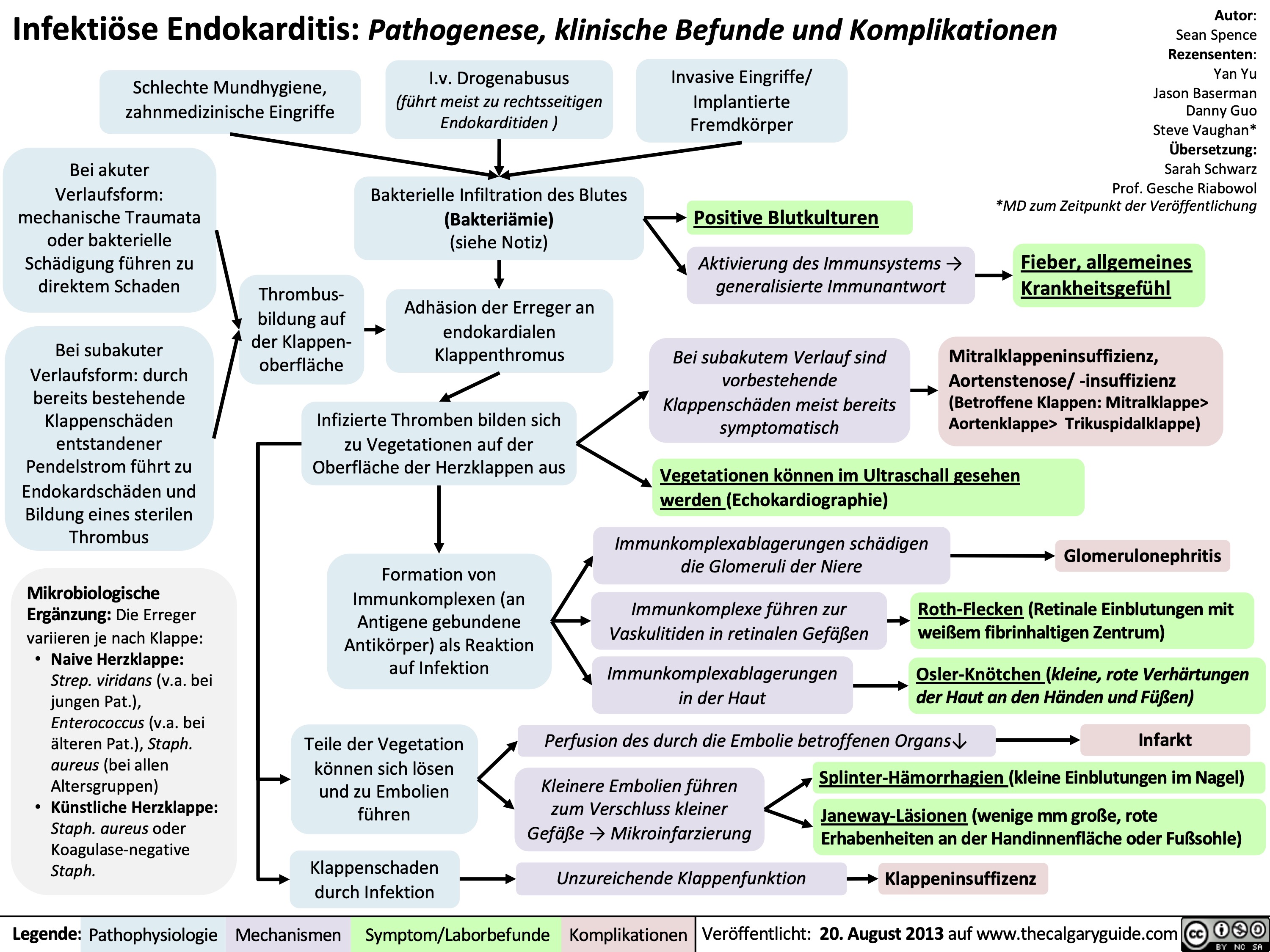 Infektiöse Endokarditis: Pathogenese, klinische Befunde und Komplikationen