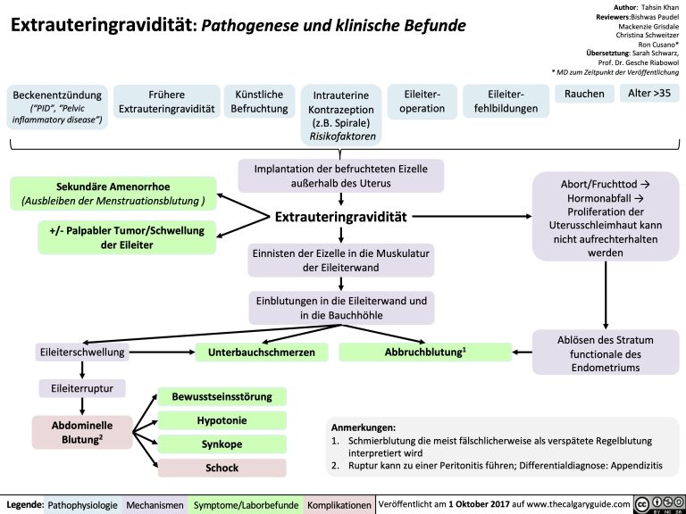 Extrauteringraviditat: Pathogenese und klinische Befunde | Calgary Guide