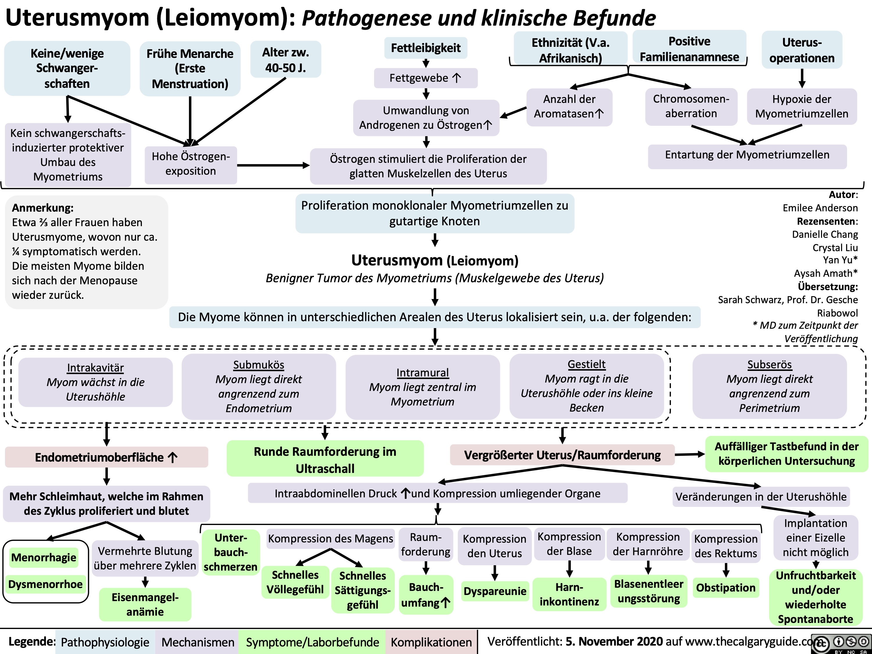 Uterusmyom (Leiomyom): Pathogenese und klinische Befunde