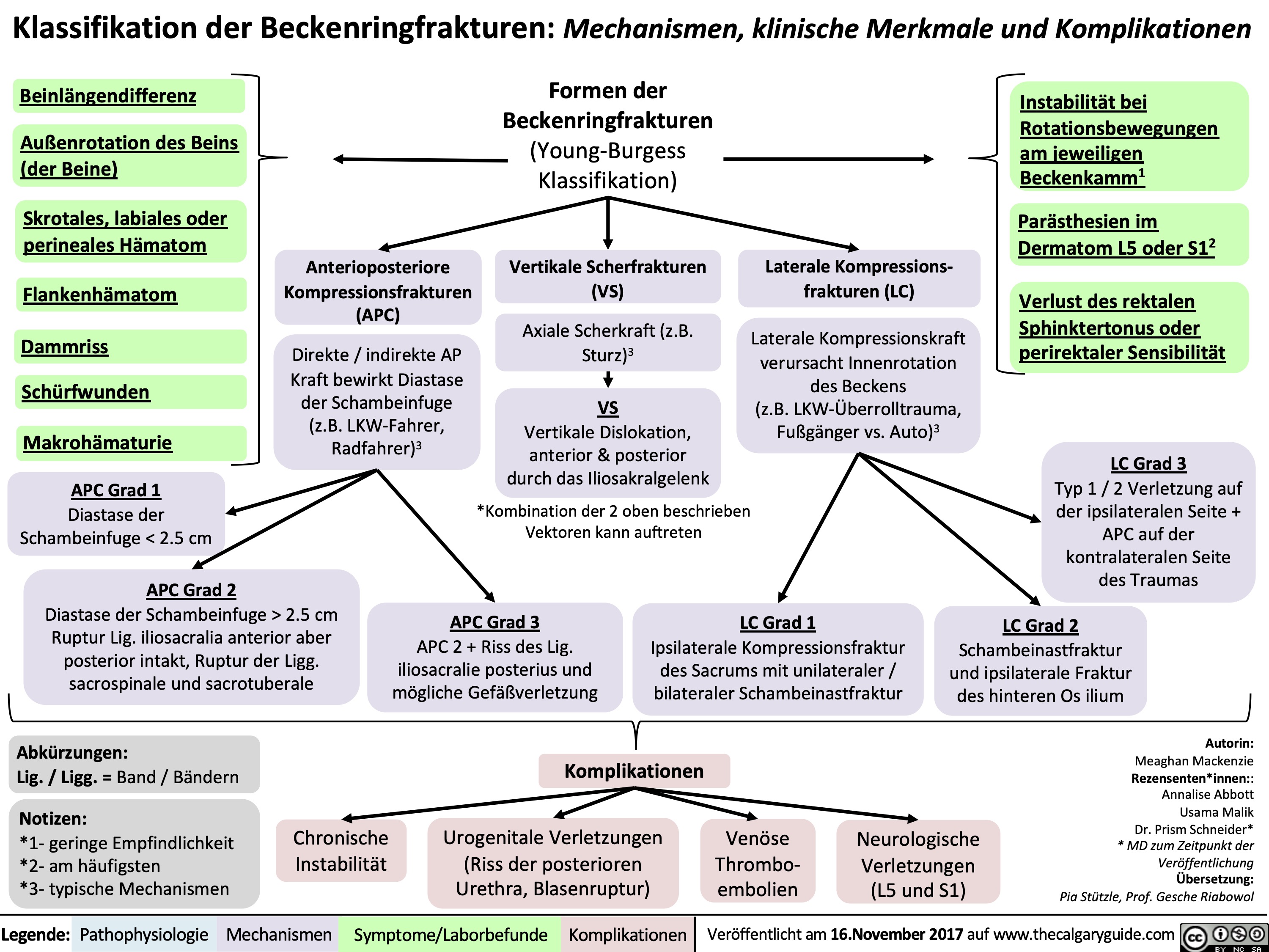 Klassifikation der Beckenringfrakturen: Mechanismen, klinische Merkmale und Komplikationen