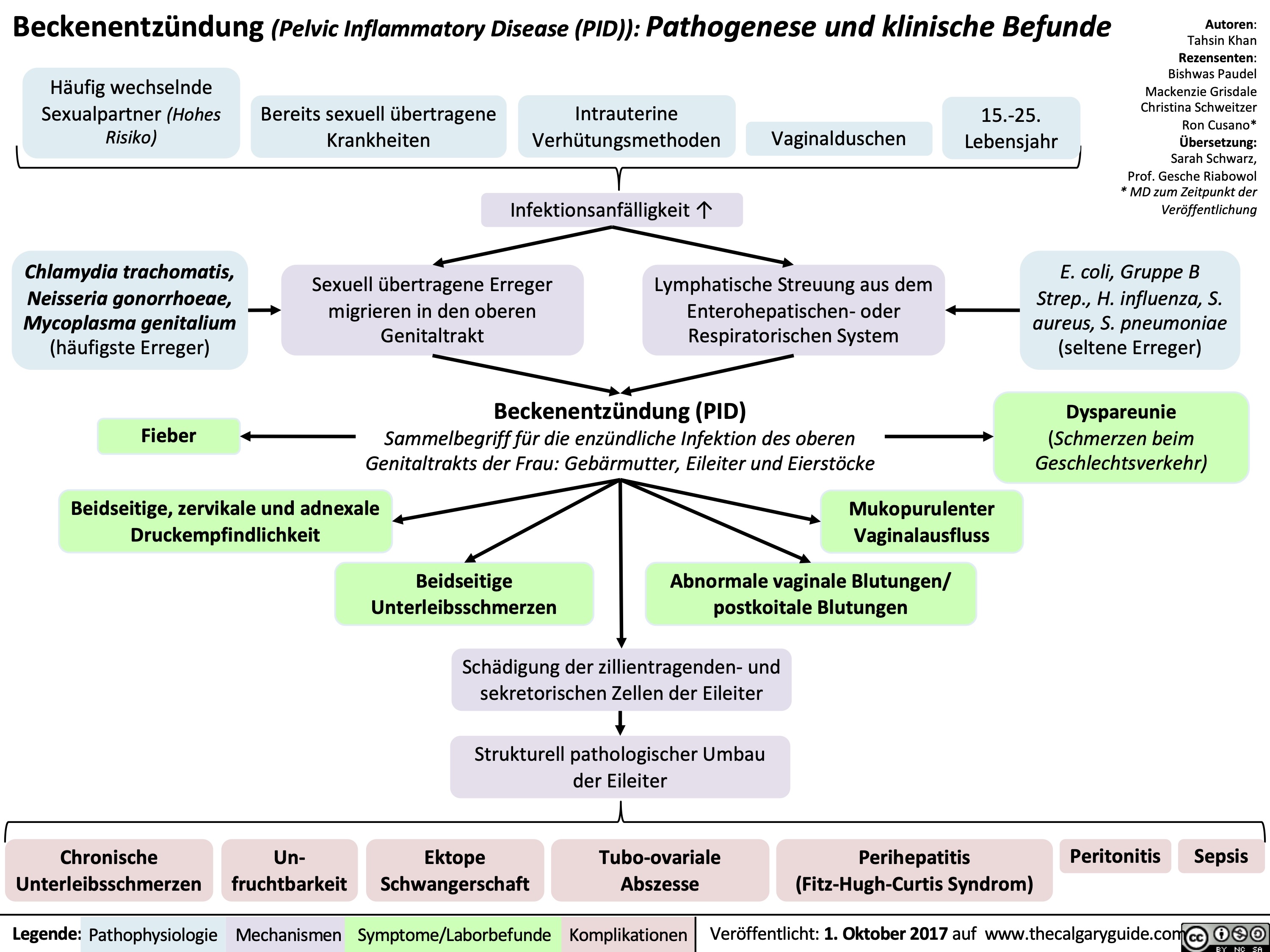 Beckenentzündung (Pelvic Inflammatory Disease (PID)): Pathogenese und klinische Befunde