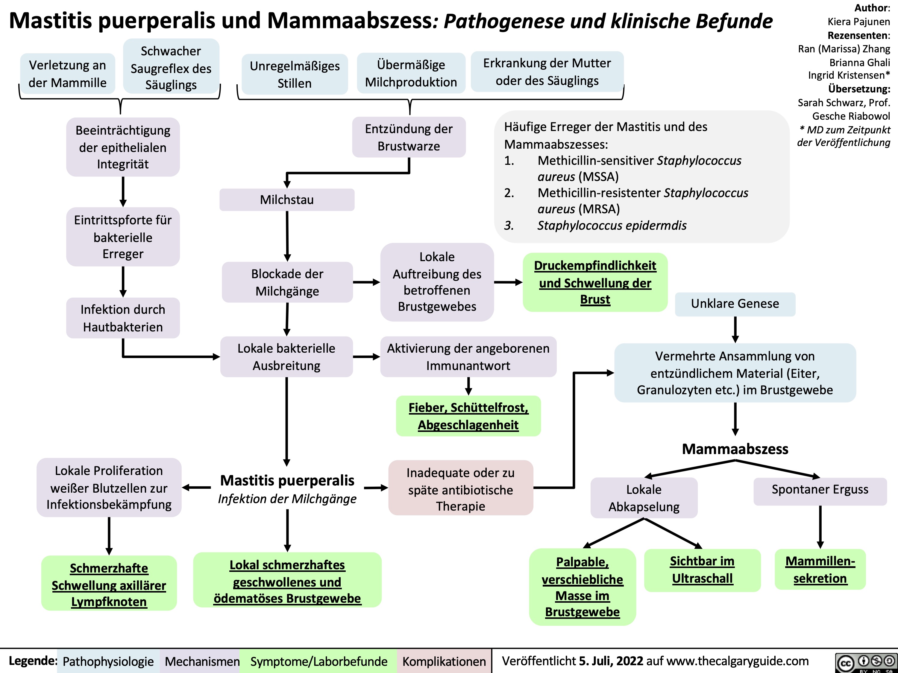 Mastitis puerperalis und Mammaabszess: Pathogenese und klinische Befunde