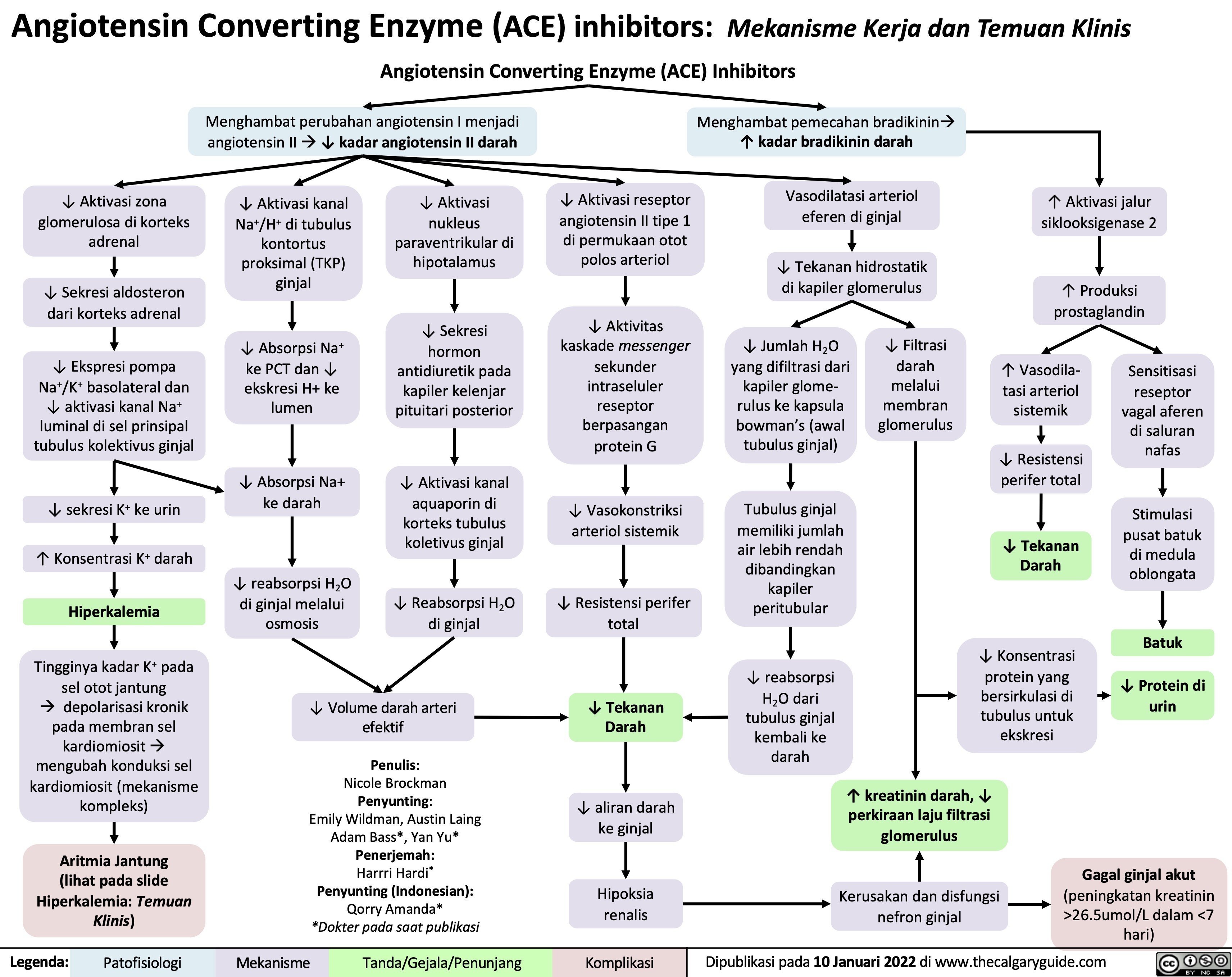 Angiotensin Converting Enzyme (ACE) inhibitors: Mekanisme Kerja dan Temuan Klinis