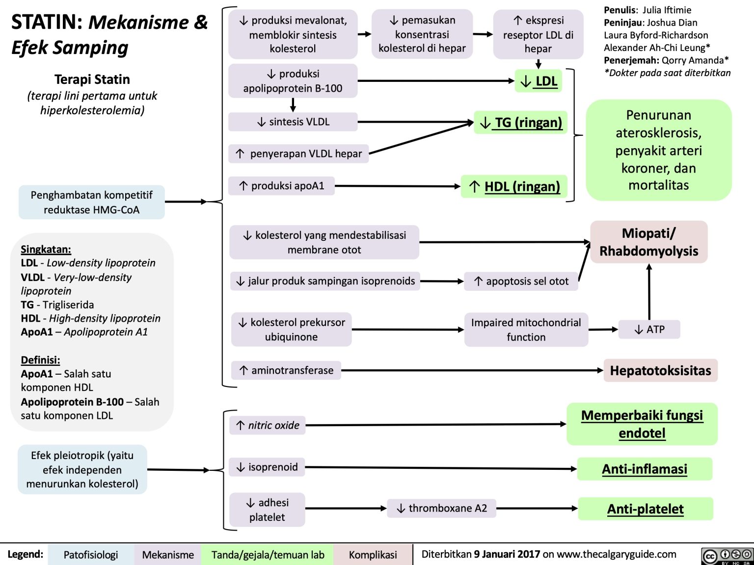 Statin Mekanisme And Efek Samping Calgary Guide