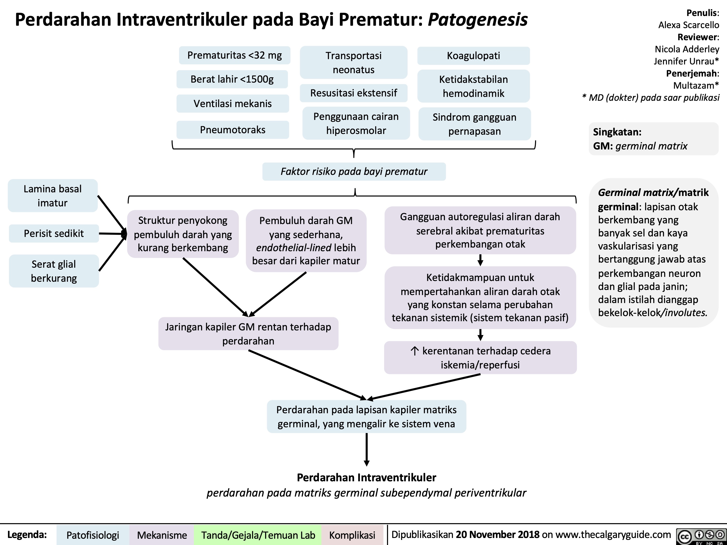 Perdarahan Intraventrikuler pada Bayi Prematur: Patogenesis