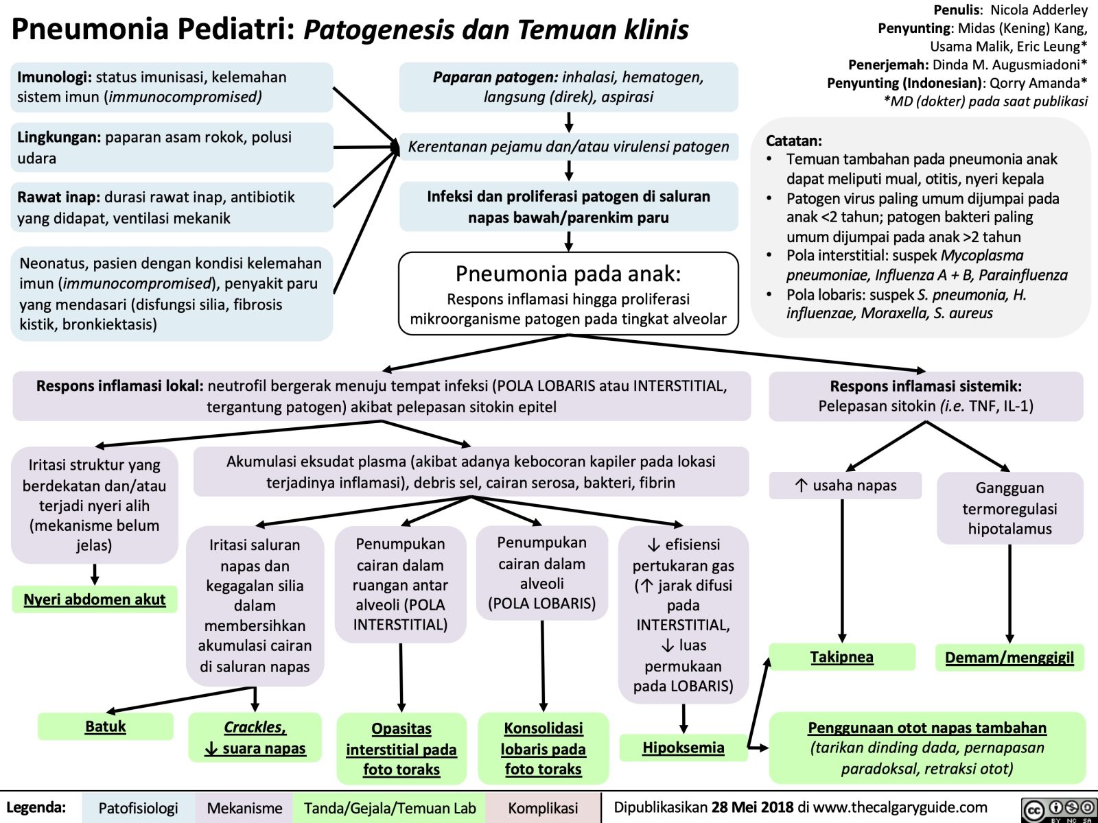 Pneumonia Pediatri Patogenesis Dan Temuan Klinis Calgary Guide