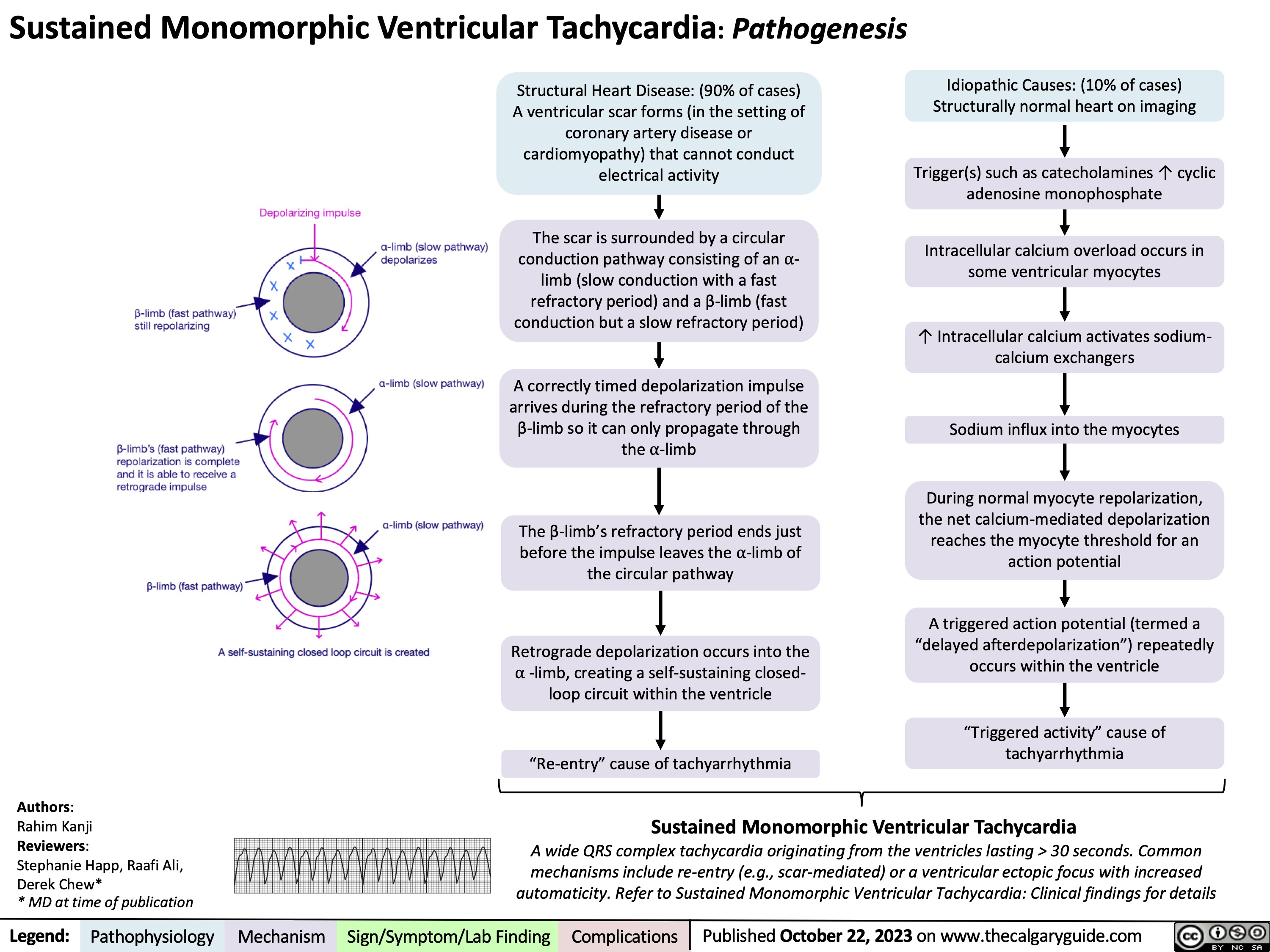 Sustained Monomorphic Ventricular Tachycardia: Pathogenesis
  Structural Heart Disease: (90% of cases) A ventricular scar forms (in the setting of coronary artery disease or cardiomyopathy) that cannot conduct electrical activity
The scar is surrounded by a circular conduction pathway consisting of an ⍺- limb (slow conduction with a fast refractory period) and a β-limb (fast conduction but a slow refractory period)
A correctly timed depolarization impulse arrives during the refractory period of the β-limb so it can only propagate through the ⍺-limb
The β-limb’s refractory period ends just before the impulse leaves the ⍺-limb of the circular pathway
Retrograde depolarization occurs into the ⍺ -limb, creating a self-sustaining closed- loop circuit within the ventricle
“Re-entry” cause of tachyarrhythmia
Idiopathic Causes: (10% of cases) Structurally normal heart on imaging
Trigger(s) such as catecholamines ↑ cyclic adenosine monophosphate
Intracellular calcium overload occurs in some ventricular myocytes
↑ Intracellular calcium activates sodium- calcium exchangers
Sodium influx into the myocytes
During normal myocyte repolarization, the net calcium-mediated depolarization reaches the myocyte threshold for an action potential
A triggered action potential (termed a “delayed afterdepolarization”) repeatedly occurs within the ventricle
“Triggered activity” cause of tachyarrhythmia
                 Authors:
Rahim Kanji
Reviewers:
Stephanie Happ, Raafi Ali, Derek Chew*
* MD at time of publication
Sustained Monomorphic Ventricular Tachycardia
A wide QRS complex tachycardia originating from the ventricles lasting > 30 seconds. Common
mechanisms include re-entry (e.g., scar-mediated) or a ventricular ectopic focus with increased automaticity. Refer to Sustained Monomorphic Ventricular Tachycardia: Clinical findings for details
  Legend:
 Pathophysiology
Mechanism
Sign/Symptom/Lab Finding
 Complications
 Published October 22, 2023 on www.thecalgaryguide.com
   
