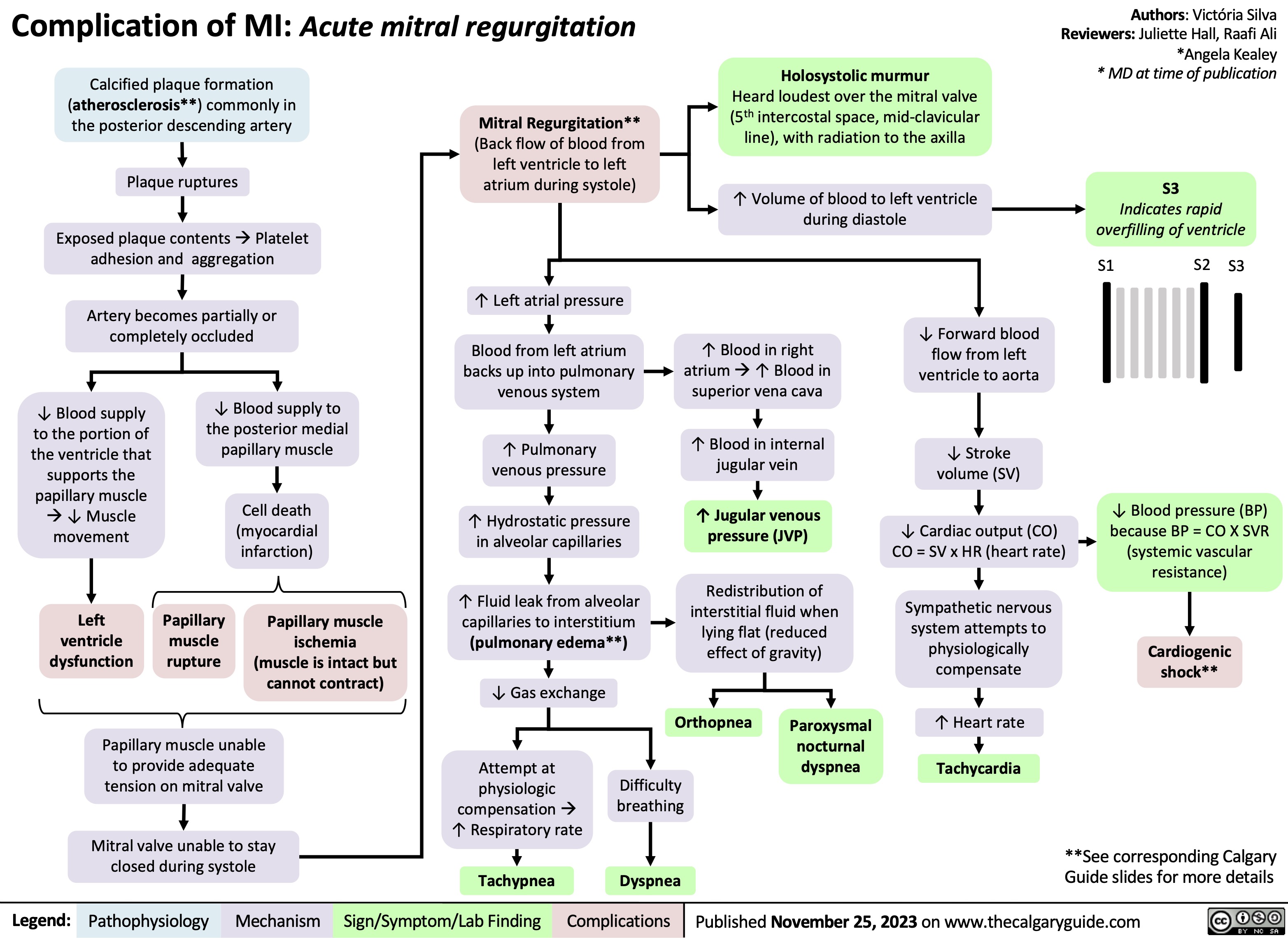 Complication of MI: Acute mitral regurgitation
Authors: Victória Silva Reviewers: Juliette Hall, Raafi Ali *Angela Kealey * MD at time of publication
S3
Indicates rapid overfilling of ventricle
S1 S2 S3
  Calcified plaque formation (atherosclerosis**) commonly in the posterior descending artery
Plaque ruptures
Exposed plaque contentsàPlatelet adhesion and aggregation
Artery becomes partially or completely occluded
Mitral Regurgitation**
(Back flow of blood from left ventricle to left atrium during systole)
↑ Left atrial pressure
Blood from left atrium backs up into pulmonary venous system
↑ Pulmonary venous pressure
↑ Hydrostatic pressure in alveolar capillaries
↑ Fluid leak from alveolar capillaries to interstitium (pulmonary edema**)
↓ Gas exchange
Attempt at
physiologic compensation à ↑ Respiratory rate
Tachypnea
Holosystolic murmur
Heard loudest over the mitral valve (5th intercostal space, mid-clavicular line), with radiation to the axilla
↑ Volume of blood to left ventricle during diastole
                    ↓ Blood supply to the portion of the ventricle that supports the papillary muscle à↓ Muscle movement
Left ventricle dysfunction
↓ Blood supply to the posterior medial papillary muscle
Cell death (myocardial infarction)
Papillary muscle ischemia (muscle is intact but cannot contract)
↑ Blood in right atriumà↑ Blood in superior vena cava
↑ Blood in internal jugular vein
↑ Jugular venous pressure (JVP)
Redistribution of interstitial fluid when lying flat (reduced effect of gravity)
↓ Forward blood flow from left ventricle to aorta
↓ Stroke volume (SV)
↓ Cardiac output (CO) CO = SV x HR (heart rate)
Sympathetic nervous system attempts to physiologically compensate
↑ Heart rate
Tachycardia
↓ Blood pressure (BP) because BP = CO X SVR (systemic vascular resistance)
Cardiogenic shock**
               Papillary muscle rupture
         Papillary muscle unable to provide adequate tension on mitral valve
Mitral valve unable to stay closed during systole
Orthopnea
Difficulty breathing
Dyspnea
Paroxysmal nocturnal dyspnea
    **See corresponding Calgary Guide slides for more details
   Legend:
 Pathophysiology
Mechanism
 Sign/Symptom/Lab Finding
 Complications
 Published November 25, 2023 on www.thecalgaryguide.com
  