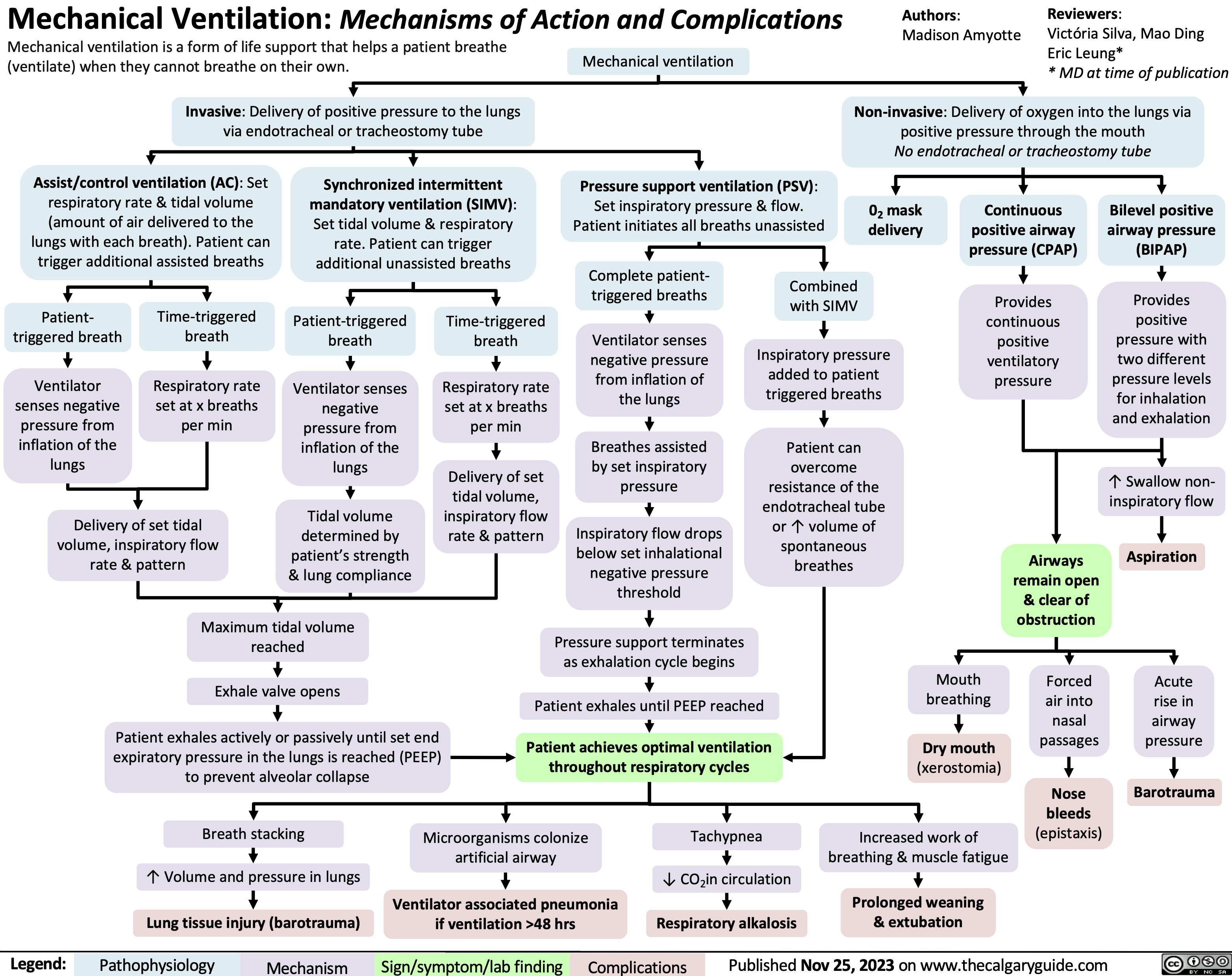 Mechanical Ventilation: Mechanisms of Action and Complications
Authors: Madison Amyotte
Reviewers:
Victória Silva, Mao Ding Eric Leung*
* MD at time of publication
Mechanical ventilation is a form of life support that helps a patient breathe (ventilate) when they cannot breathe on their own.
Invasive: Delivery of positive pressure to the lungs via endotracheal or tracheostomy tube
Mechanical ventilation
Pressure support ventilation (PSV): Set inspiratory pressure & flow. Patient initiates all breaths unassisted
Non-invasive: Delivery of oxygen into the lungs via positive pressure through the mouth
No endotracheal or tracheostomy tube
          Assist/control ventilation (AC): Set respiratory rate & tidal volume (amount of air delivered to the lungs with each breath). Patient can trigger additional assisted breaths
Synchronized intermittent mandatory ventilation (SIMV): Set tidal volume & respiratory rate. Patient can trigger additional unassisted breaths
02 mask delivery
Continuous positive airway pressure (CPAP)
Provides continuous positive ventilatory pressure
Bilevel positive airway pressure (BIPAP)
Provides positive pressure with two different pressure levels for inhalation and exhalation
↑ Swallow non- inspiratory flow
Aspiration
Acute rise in airway pressure
Barotrauma
              Patient- triggered breath
Ventilator senses negative pressure from inflation of the lungs
Time-triggered breath
Respiratory rate set at x breaths per min
Patient-triggered breath
Ventilator senses negative pressure from inflation of the lungs
Tidal volume determined by patient’s strength & lung compliance
Time-triggered breath
Respiratory rate set at x breaths per min
Delivery of set tidal volume, inspiratory flow rate & pattern
Complete patient- triggered breaths
Ventilator senses negative pressure from inflation of the lungs
Breathes assisted by set inspiratory pressure
Inspiratory flow drops below set inhalational negative pressure threshold
Pressure support terminates as exhalation cycle begins
Combined with SIMV
Inspiratory pressure added to patient triggered breaths
Patient can overcome resistance of the endotracheal tube or ↑ volume of spontaneous breathes
              Delivery of set tidal volume, inspiratory flow rate & pattern
Airways remain open & clear of obstruction
Forced air into nasal passages
Nose bleeds (epistaxis)
       Maximum tidal volume reached
Exhale valve opens
Patient exhales actively or passively until set end expiratory pressure in the lungs is reached (PEEP) to prevent alveolar collapse
Patient exhales until PEEP reached
Patient achieves optimal ventilation throughout respiratory cycles
Mouth breathing
Dry mouth
(xerostomia)
Increased work of breathing & muscle fatigue
Prolonged weaning & extubation
                 Breath stacking
↑ Volume and pressure in lungs Lung tissue injury (barotrauma)
Microorganisms colonize artificial airway
Ventilator associated pneumonia if ventilation >48 hrs
Tachypnea
↓ CO2in circulation Respiratory alkalosis
        Legend:
 Pathophysiology
 Mechanism
 Sign/symptom/lab finding
 Complications
 Published Nov 25, 2023 on www.thecalgaryguide.com
 