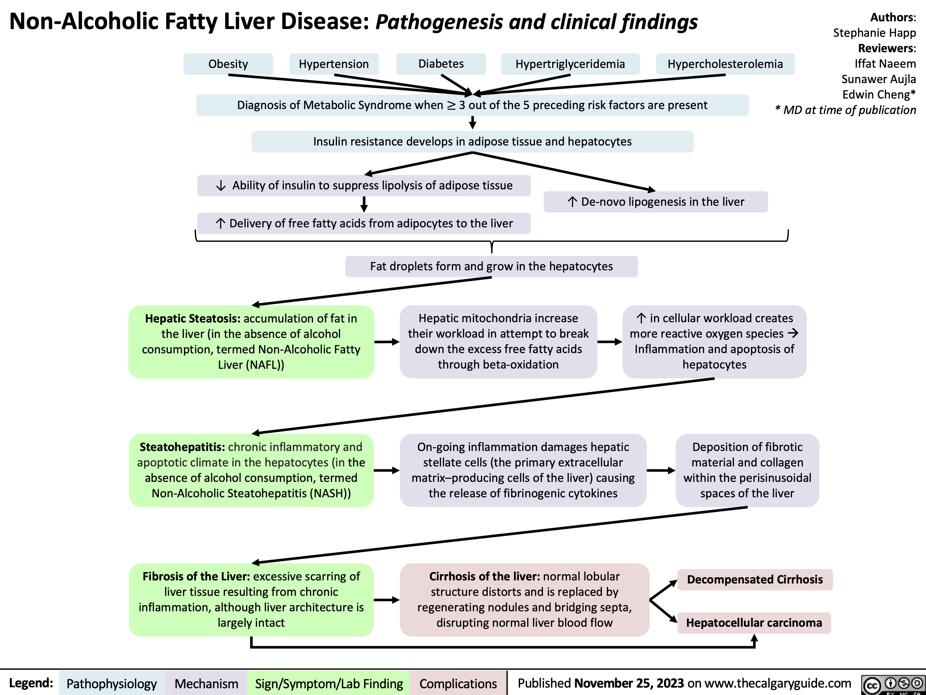 Non-Alcoholic Fatty Liver Disease: Pathogenesis and clinical findings Diagnosis of Metabolic Syndrome when ≥ 3 out of the 5 preceding risk factors are present
Authors: Stephanie Happ Reviewers: Obesity Hypertension Diabetes Hypertriglyceridemia Hypercholesterolemia Iffat Naeem Sunawer Aujla Edwin Cheng* * MD at time of publication
        Insulin resistance develops in adipose tissue and hepatocytes
   ↓ Ability of insulin to suppress lipolysis of adipose tissue
↑ Delivery of free fatty acids from adipocytes to the liver
↑ De-novo lipogenesis in the liver
        Hepatic Steatosis: accumulation of fat in the liver (in the absence of alcohol consumption, termed Non-Alcoholic Fatty Liver (NAFL))
Steatohepatitis: chronic inflammatory and apoptotic climate in the hepatocytes (in the absence of alcohol consumption, termed Non-Alcoholic Steatohepatitis (NASH))
Fibrosis of the Liver: excessive scarring of liver tissue resulting from chronic inflammation, although liver architecture is largely intact
Fat droplets form and grow in the hepatocytes
Hepatic mitochondria increase their workload in attempt to break down the excess free fatty acids through beta-oxidation
↑ in cellular workload creates more reactive oxygen speciesà Inflammation and apoptosis of hepatocytes
    On-going inflammation damages hepatic stellate cells (the primary extracellular matrix–producing cells of the liver) causing the release of fibrinogenic cytokines
Cirrhosis of the liver: normal lobular structure distorts and is replaced by regenerating nodules and bridging septa, disrupting normal liver blood flow
Deposition of fibrotic
material and collagen within the perisinusoidal spaces of the liver
Decompensated Cirrhosis Hepatocellular carcinoma
       Legend:
 Pathophysiology
Mechanism
Sign/Symptom/Lab Finding
 Complications
Published November 25, 2023 on www.thecalgaryguide.com
    