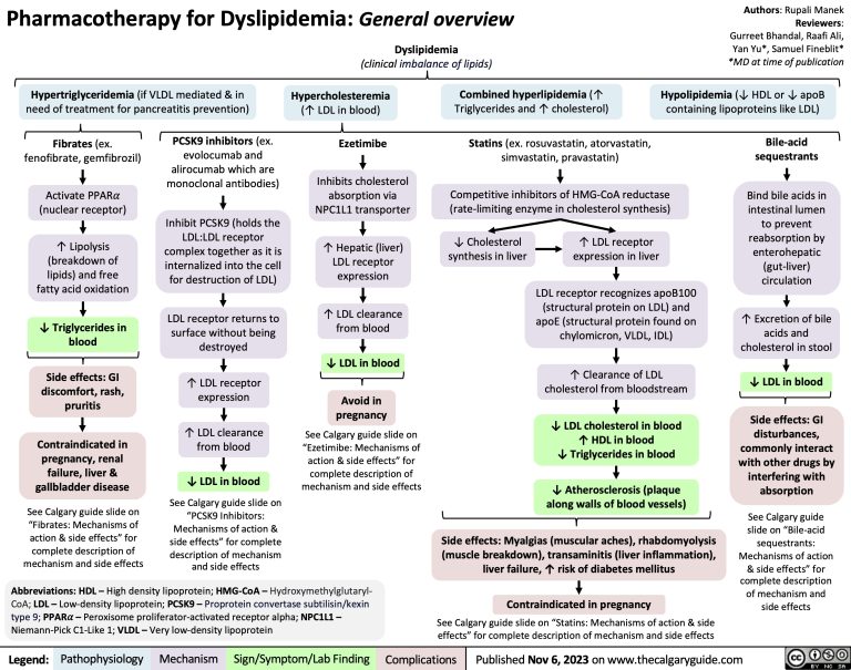 Pharmacotherapy For Dyslipidemia: Overview | Calgary Guide