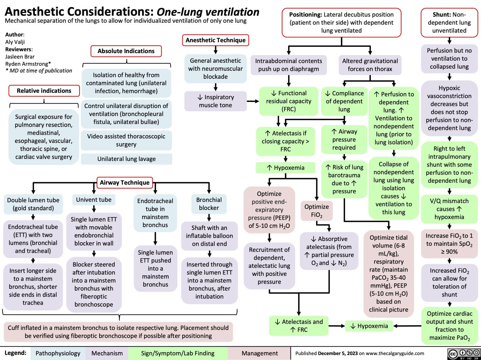 Anesthetic Considerations: One Lung Ventilation | Calgary Guide